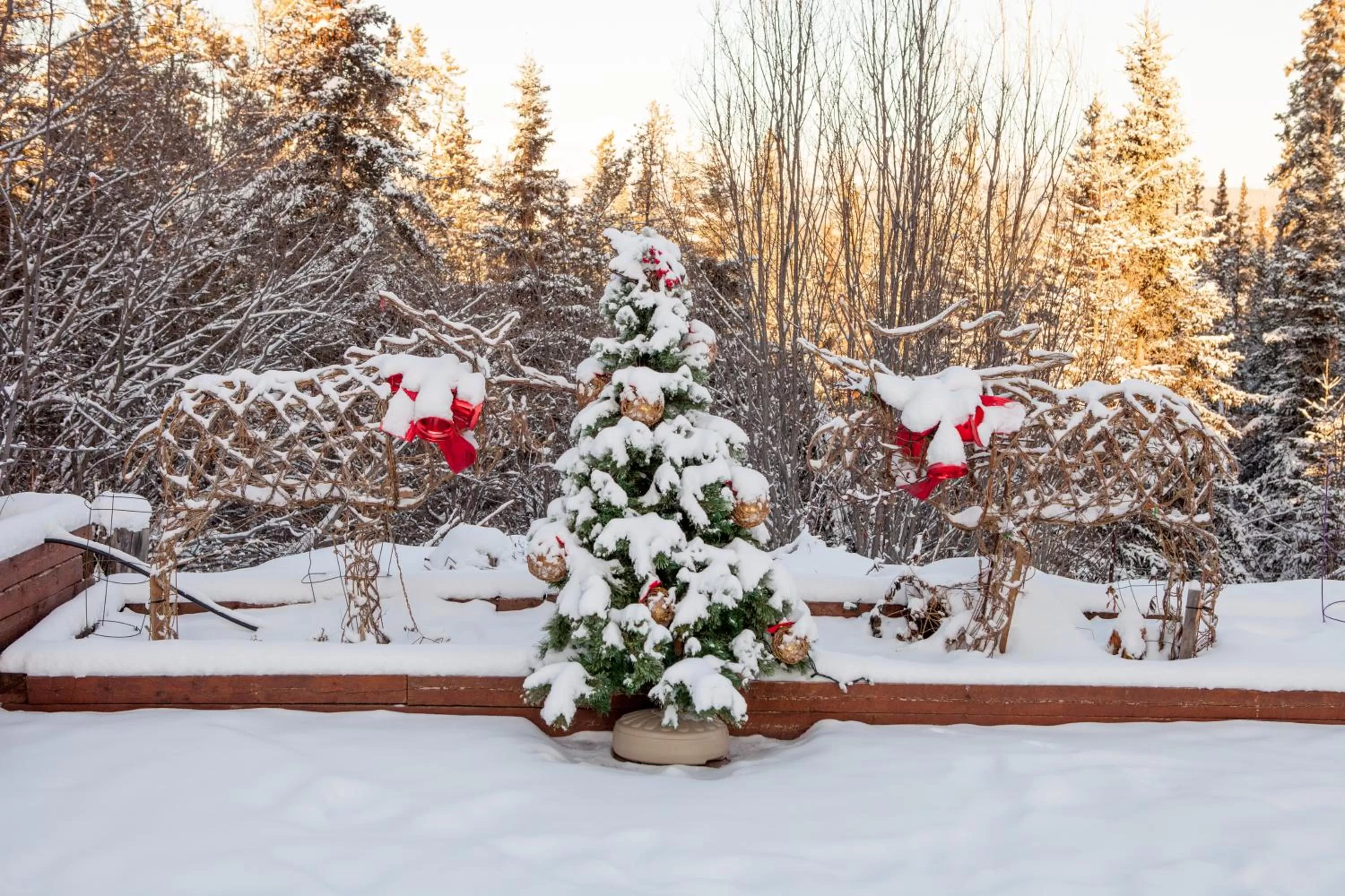 Balcony/Terrace, Winter in Hidden Valley Bed and Breakfast