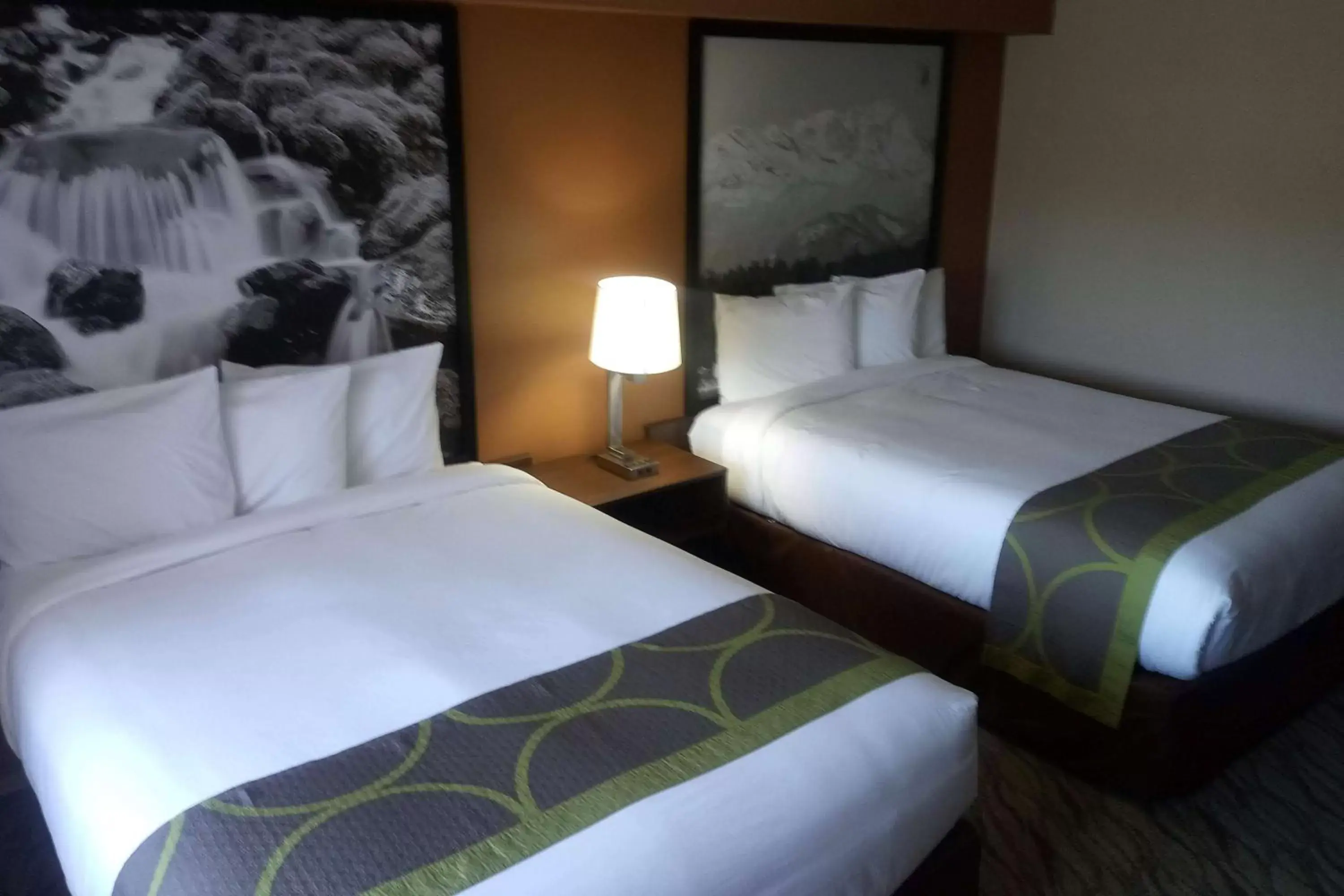 Photo of the whole room, Bed in Super 8 by Wyndham Lynnwood