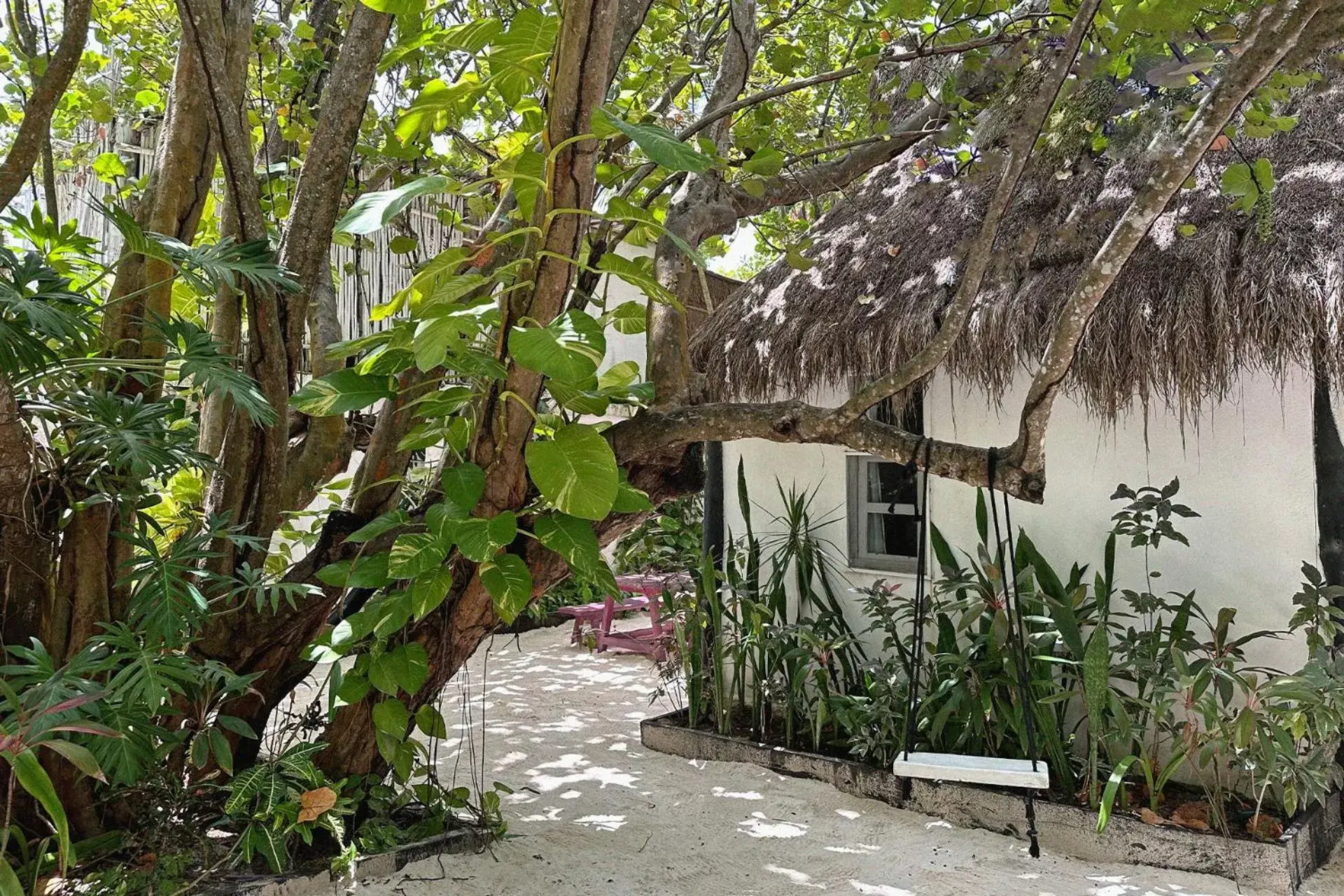 Garden, Property Building in Coco Tulum Zen Zone Hotel