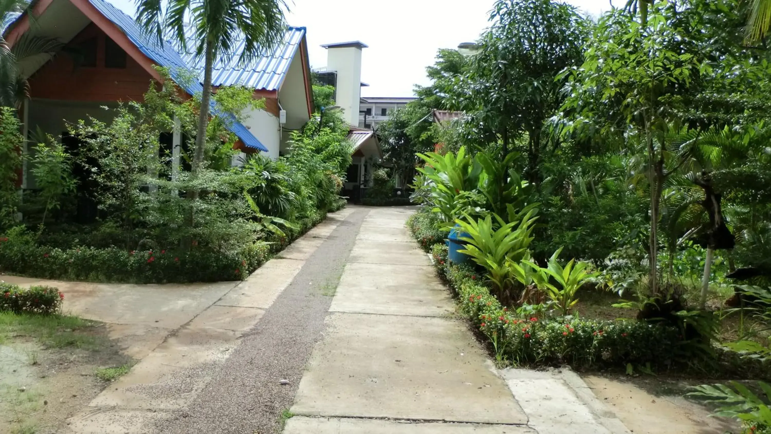 Garden in The Krabi Forest Homestay