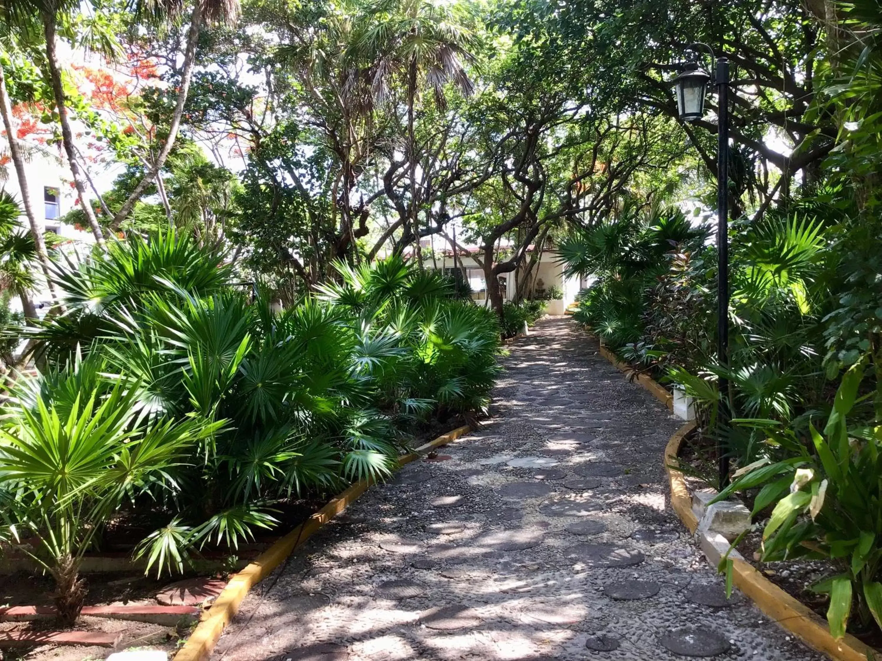 Natural landscape, Garden in Hotel Maya Caribe Faranda Cancún