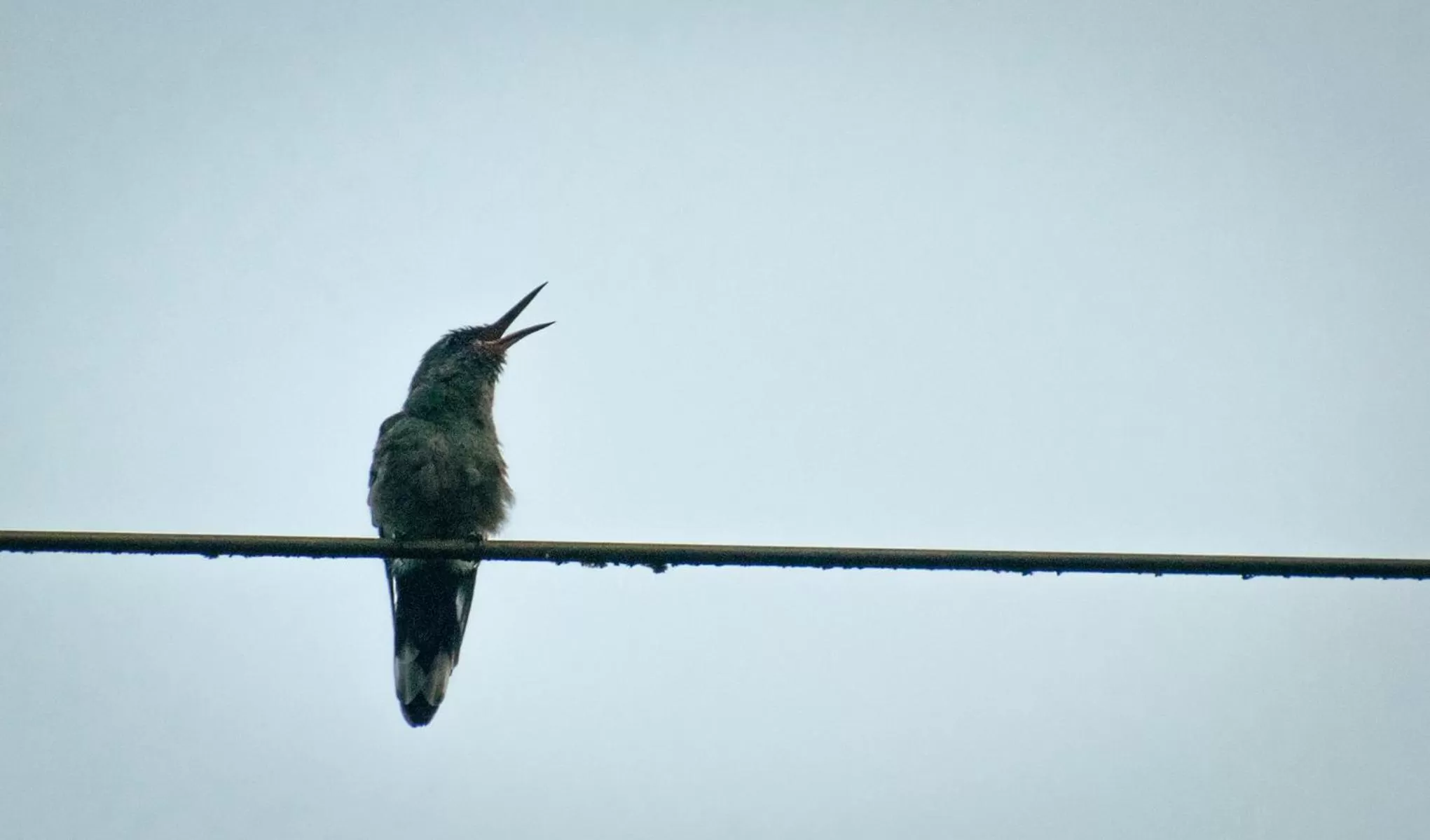 Bird's eye view in Hotel Kokoro Mineral Hot Springs
