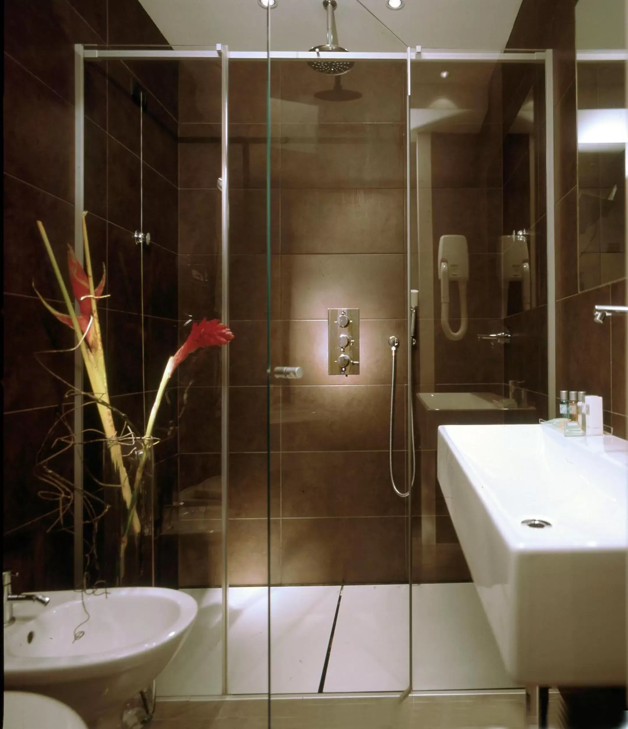 Shower, Bathroom in Alpi Hotel