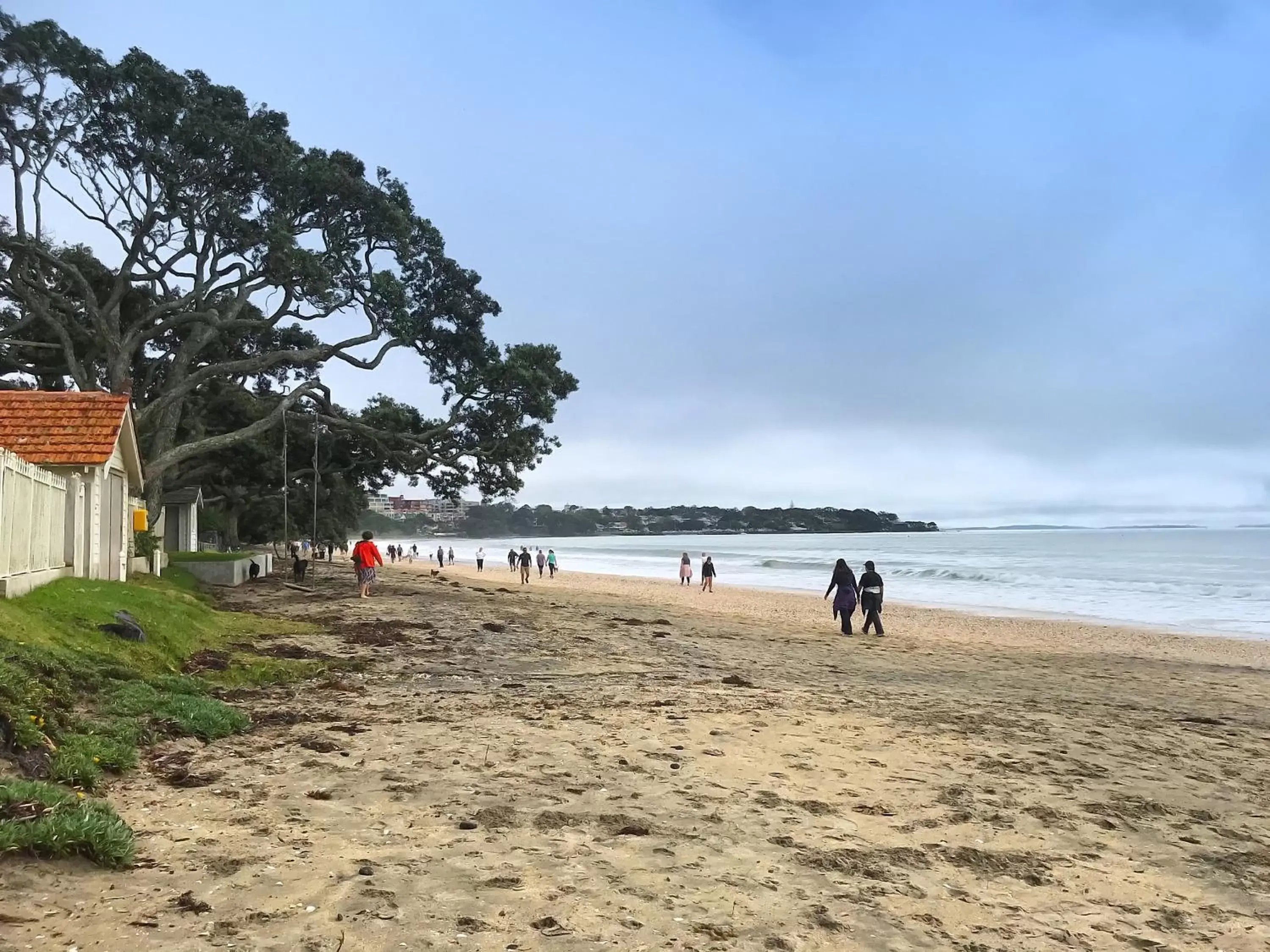 Beach in Carnmore Hotel Takapuna