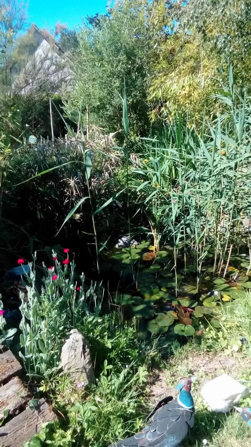 Garden in O tour du monde