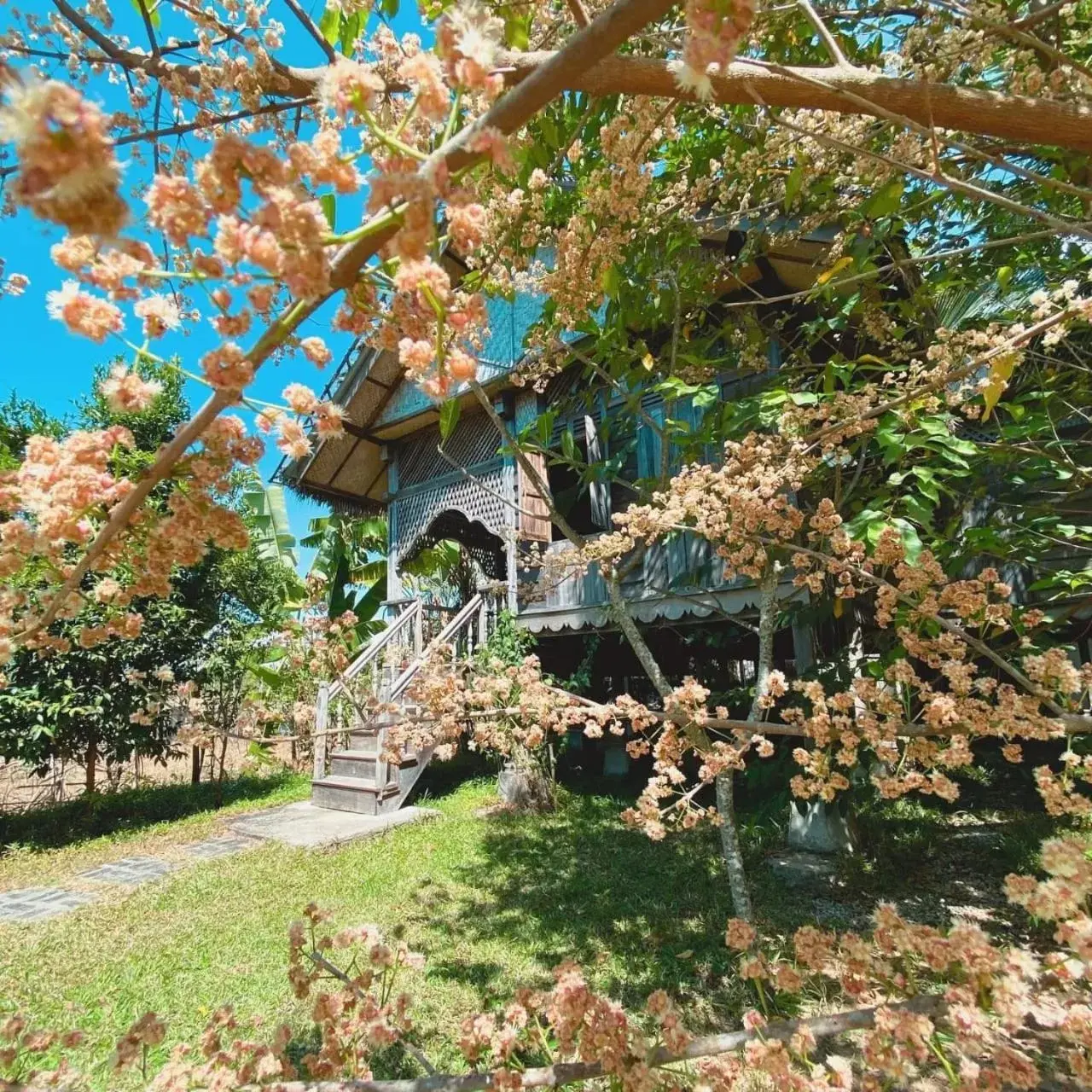 Garden in Kunang Kunang Heritage Villas