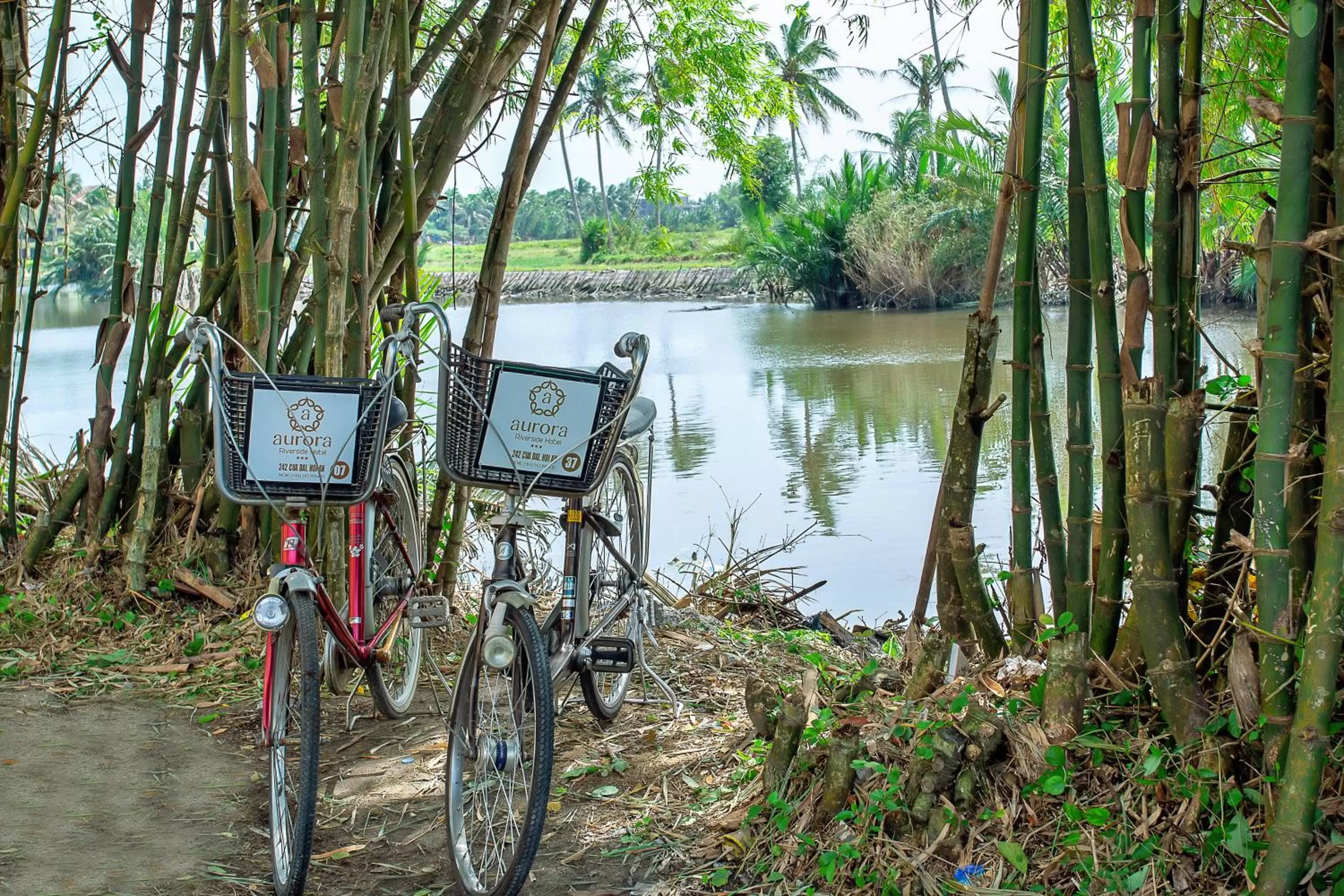 Cycling in Hoi An Aurora Riverside Hotel and Spa