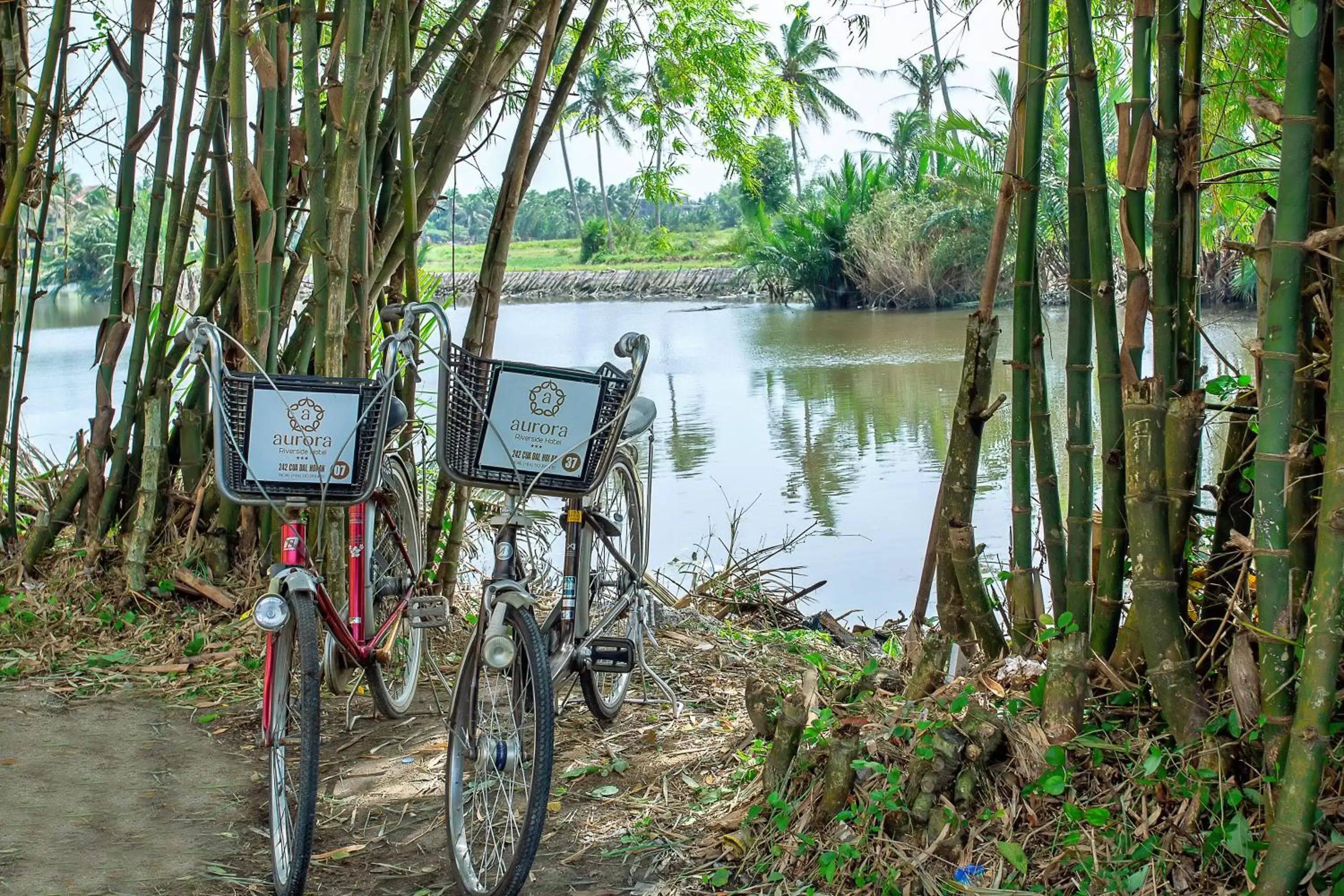 Cycling in Hoi An Aurora Riverside Hotel and Spa