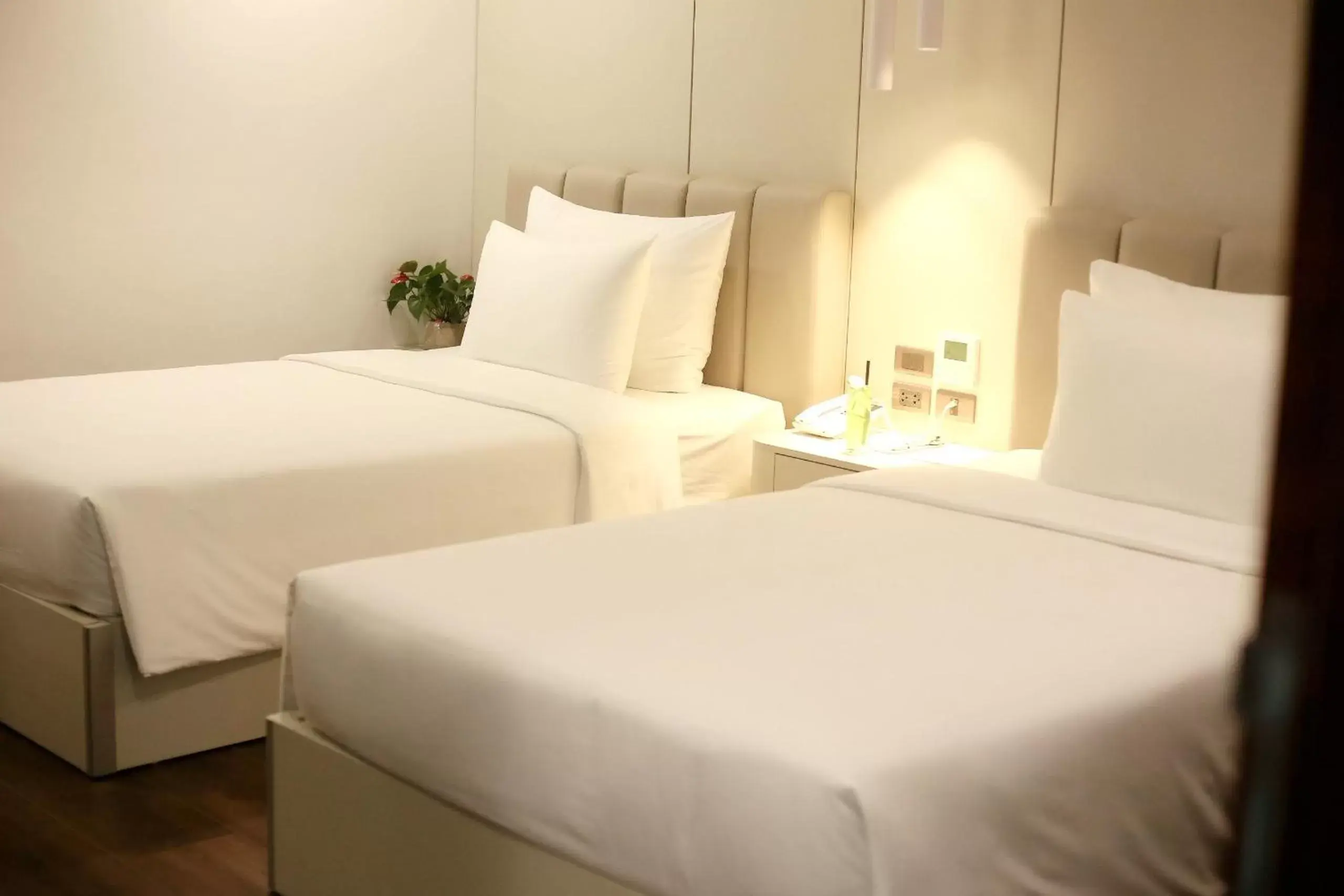 Standard Twin Room in Danitel Halong Standard Twin Room in Danitel Halong