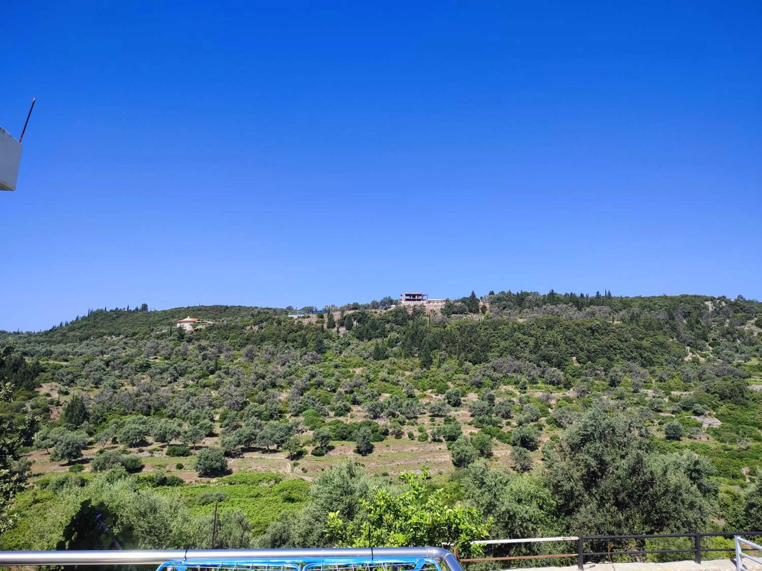 Spring in Petros rooms