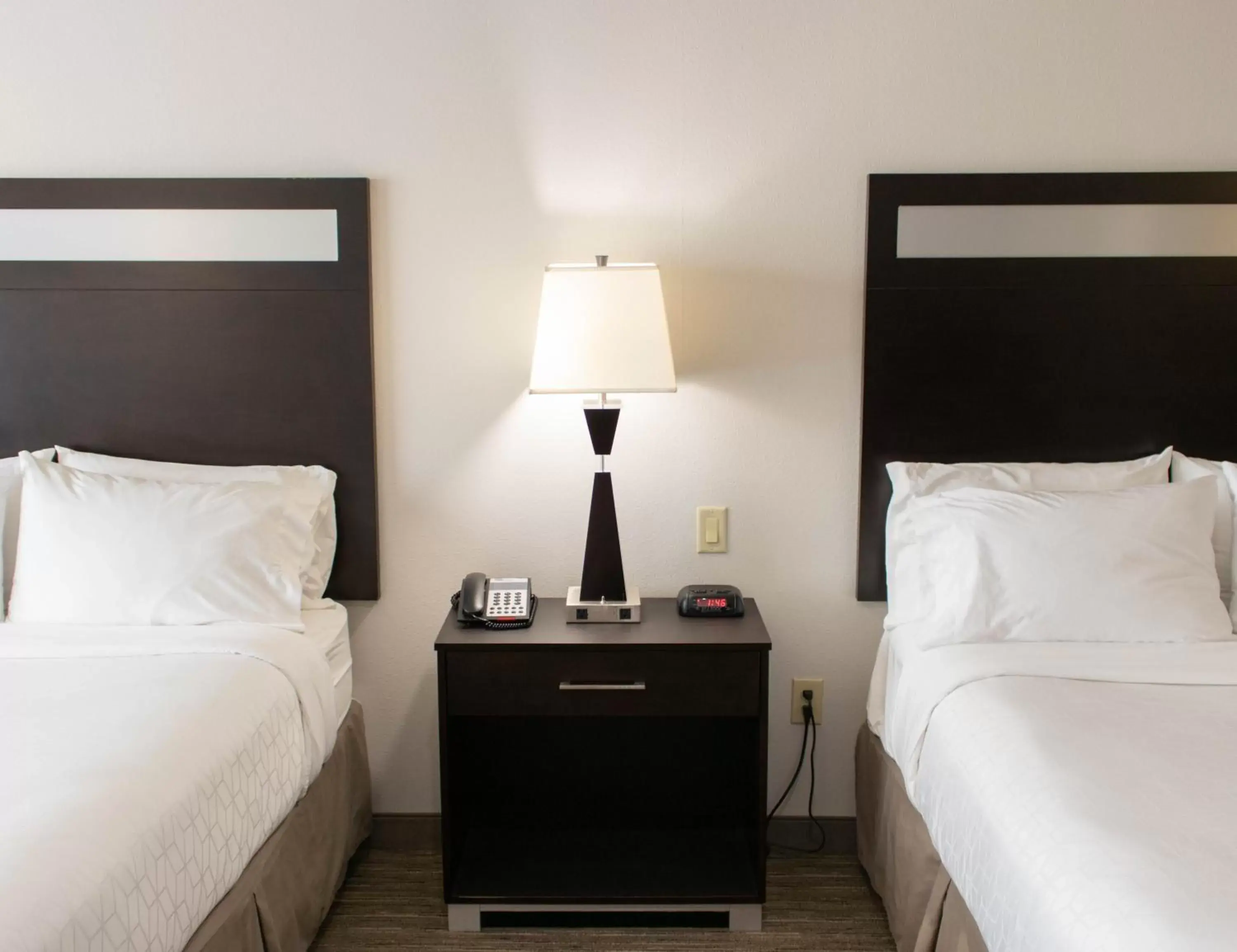 Photo of the whole room, Bed in Holiday Inn Express Hotel & Suites Temple-Medical Center Area, an IHG Hotel