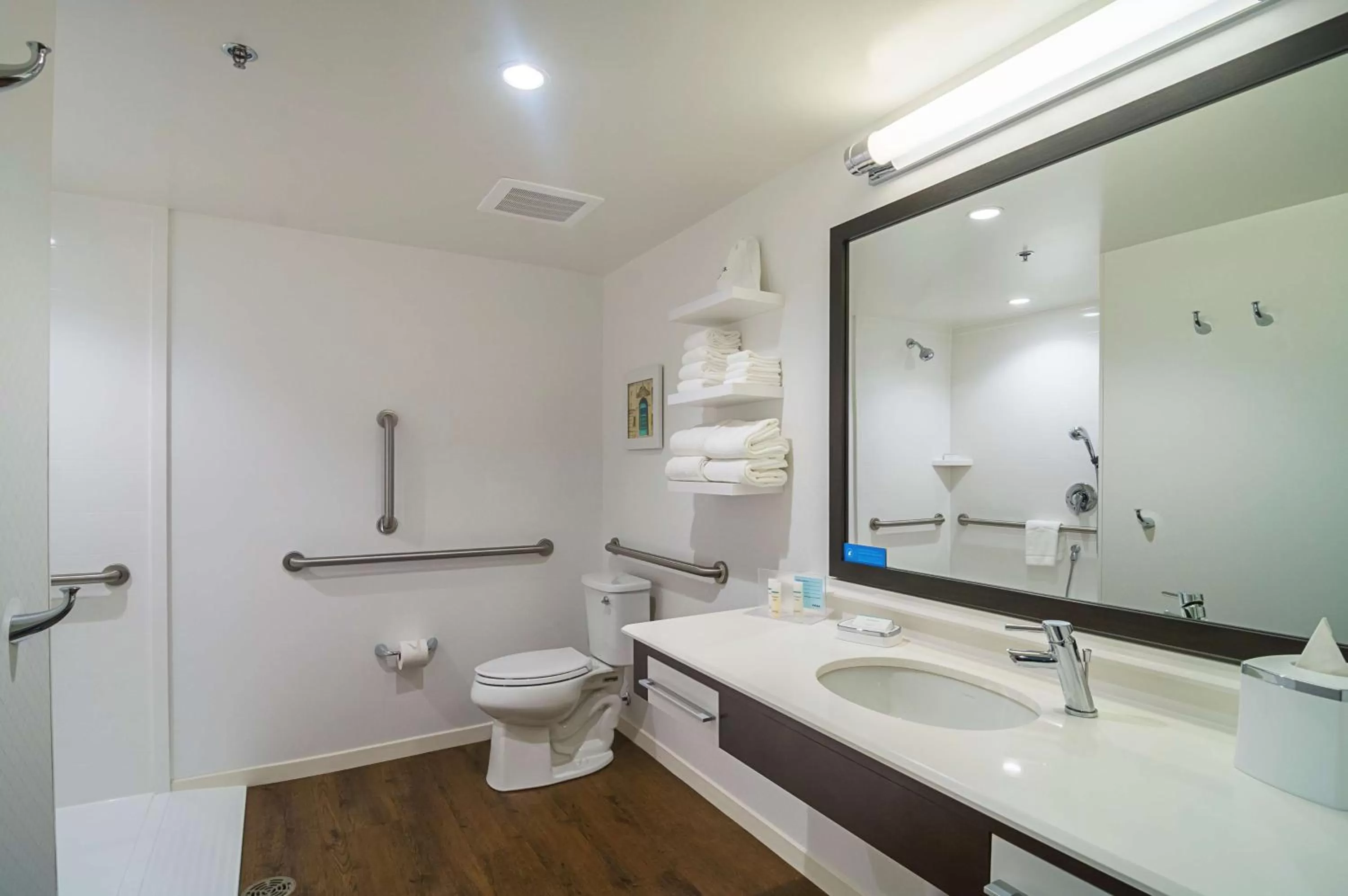 Bathroom in Hampton Inn Chicago North-Loyola Station, Il