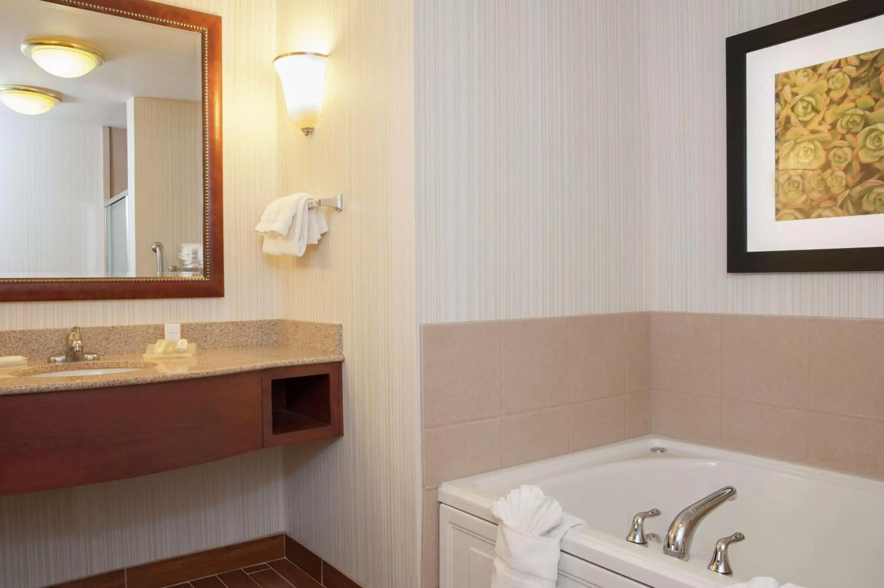 One-Bedroom King Suite with Whirlpool in Hilton Garden Inn St. Paul Oakdale One-Bedroom King Suite with Whirlpool in Hilton Garden Inn St. Paul Oakdale