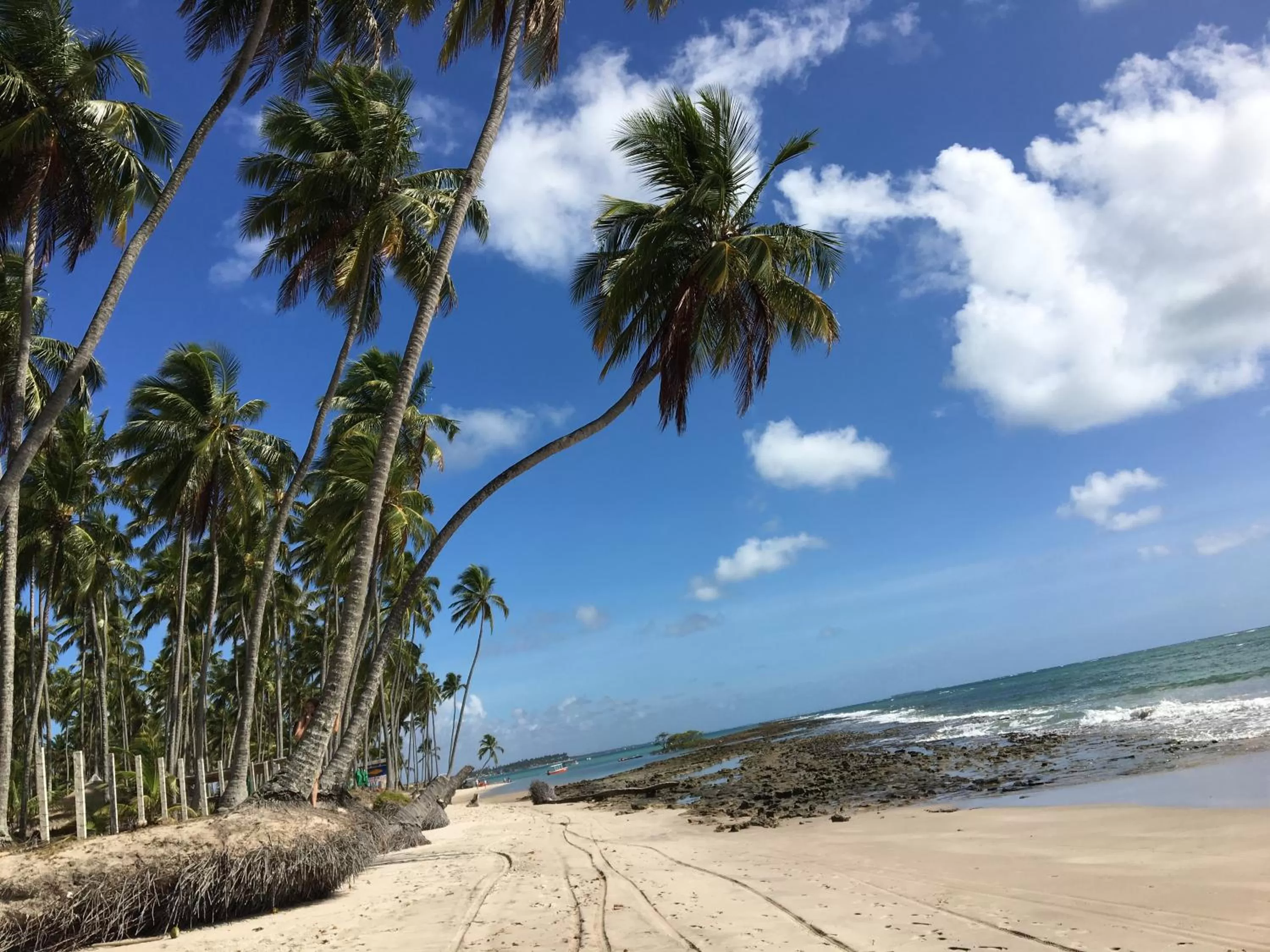 Other in Praia dos Carneiros apart beira-mar