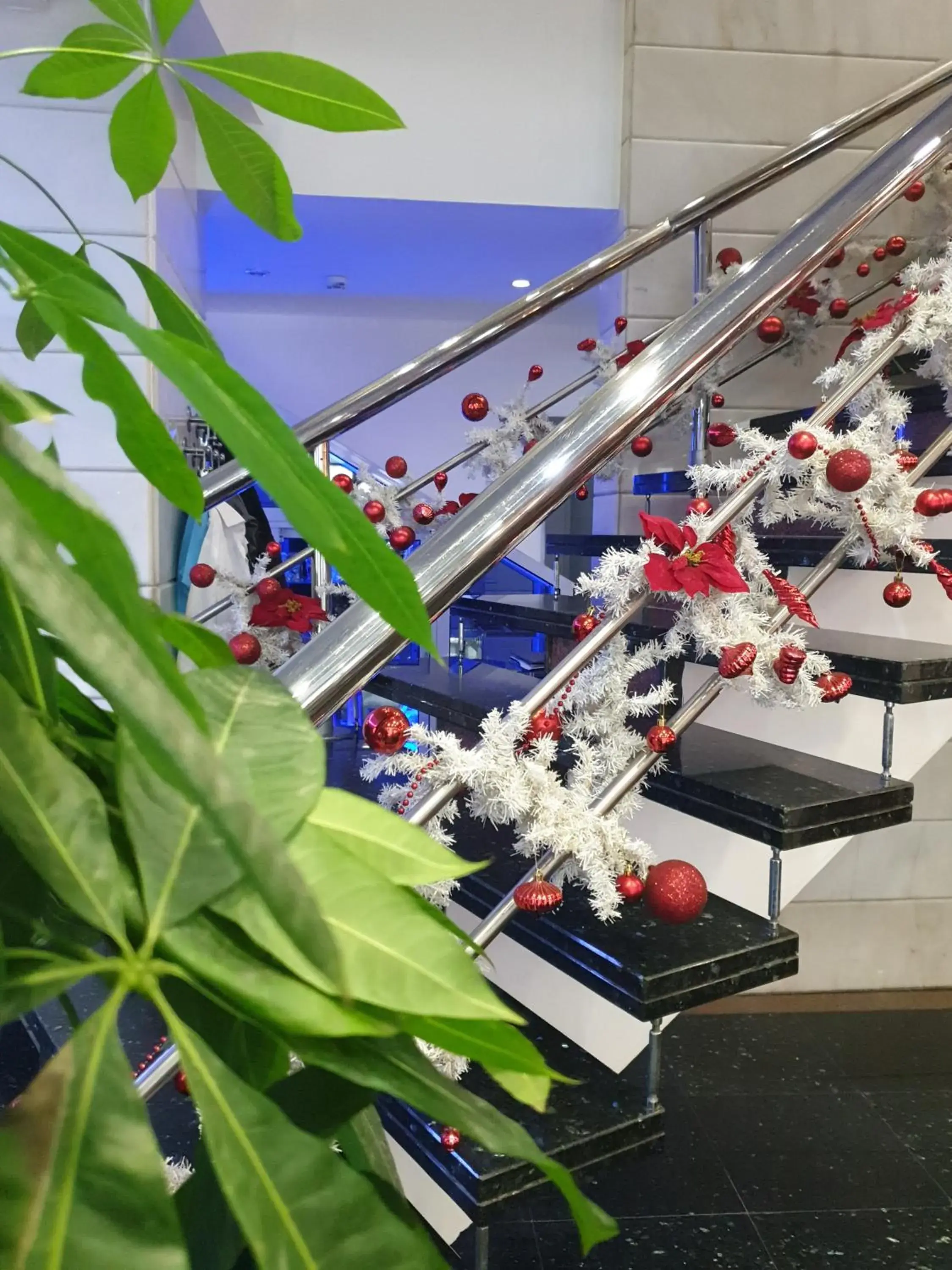 Property building in Hotel Marla Property building in Hotel Marla