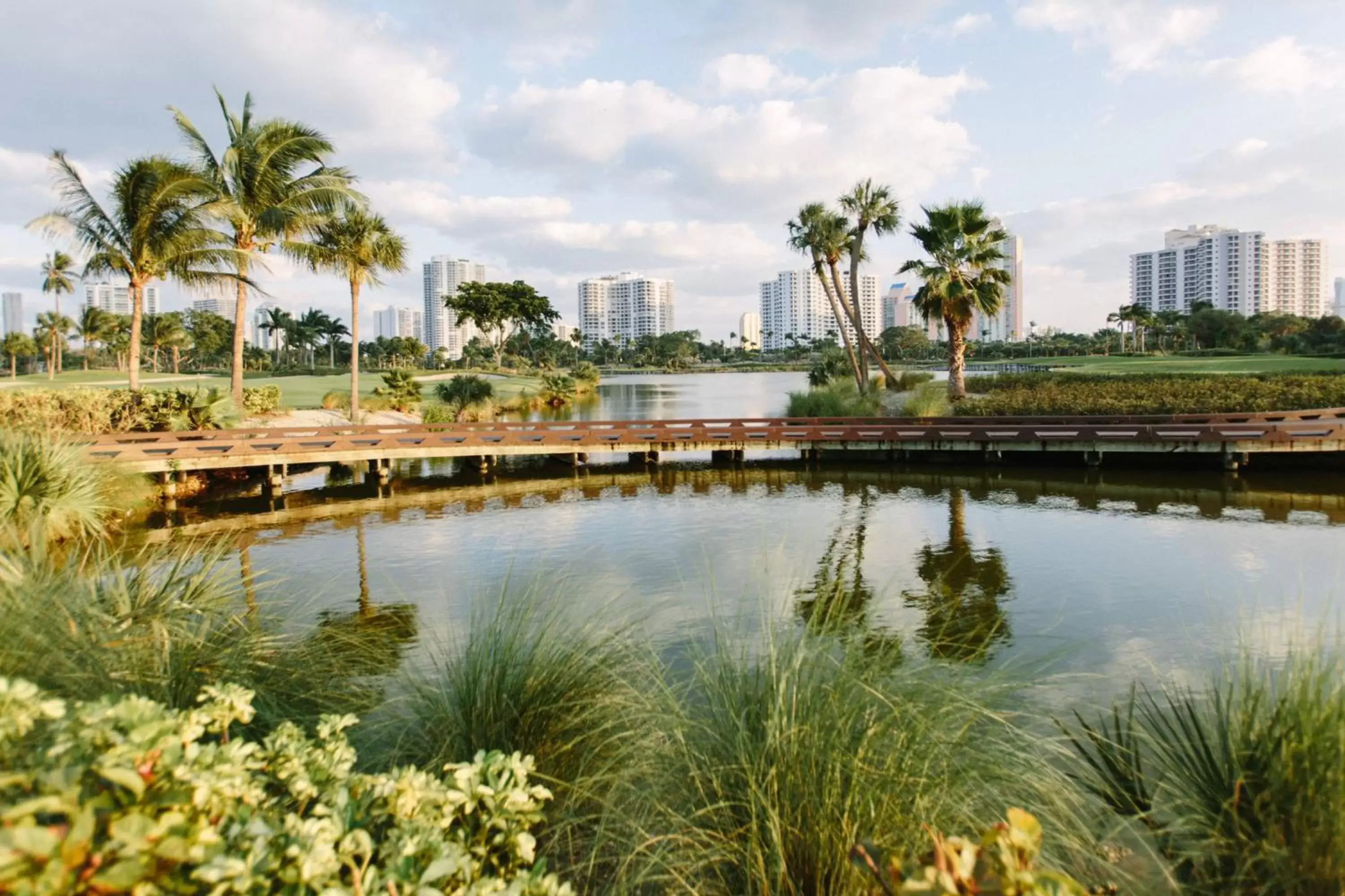 Golfcourse, Swimming Pool in JW Marriott Miami Turnberry Resort & Spa