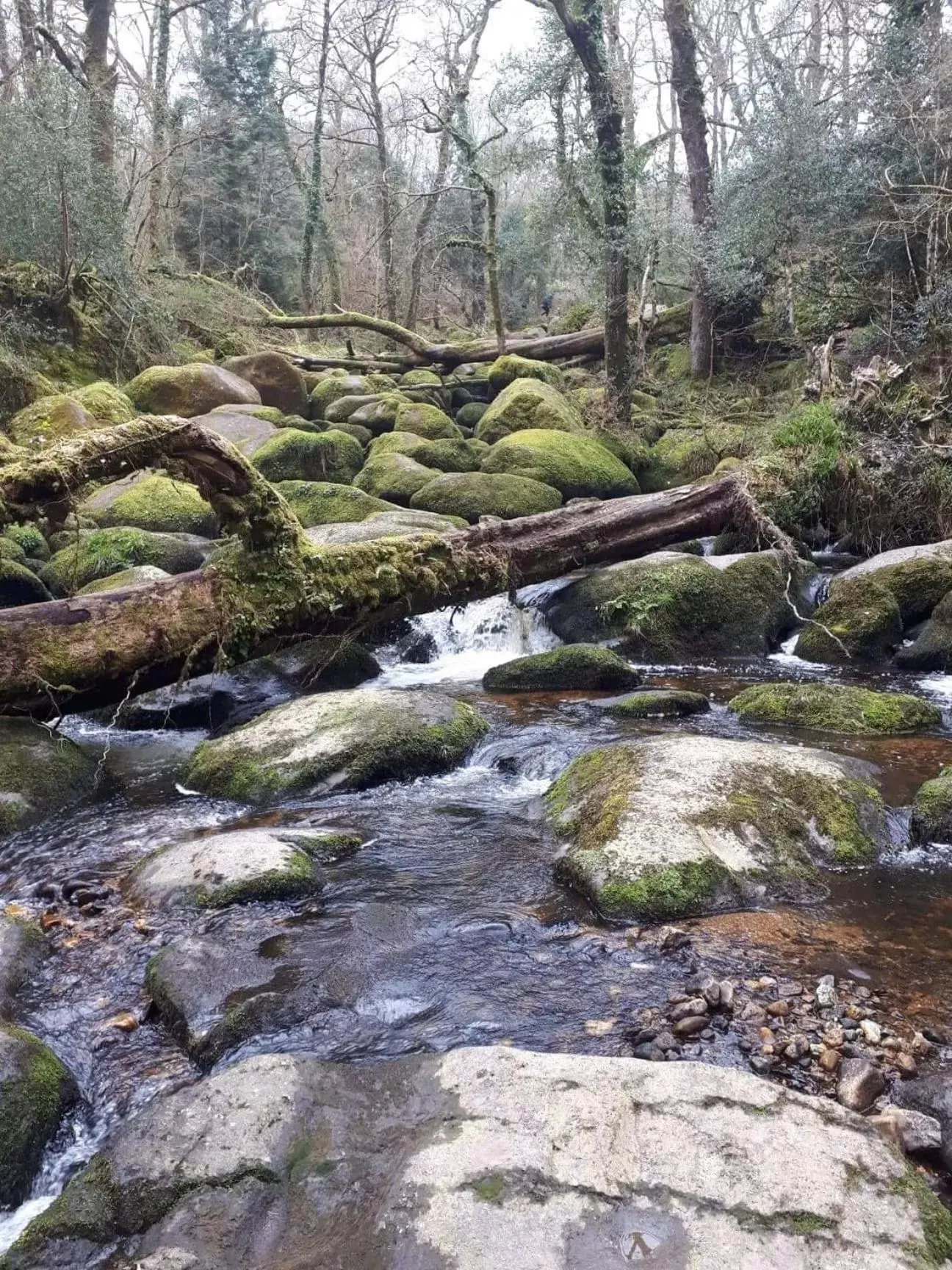 Activities, Natural Landscape in Trentham House