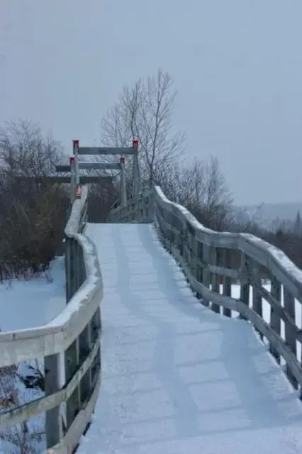 Activities, Winter in À Amour et Amitié