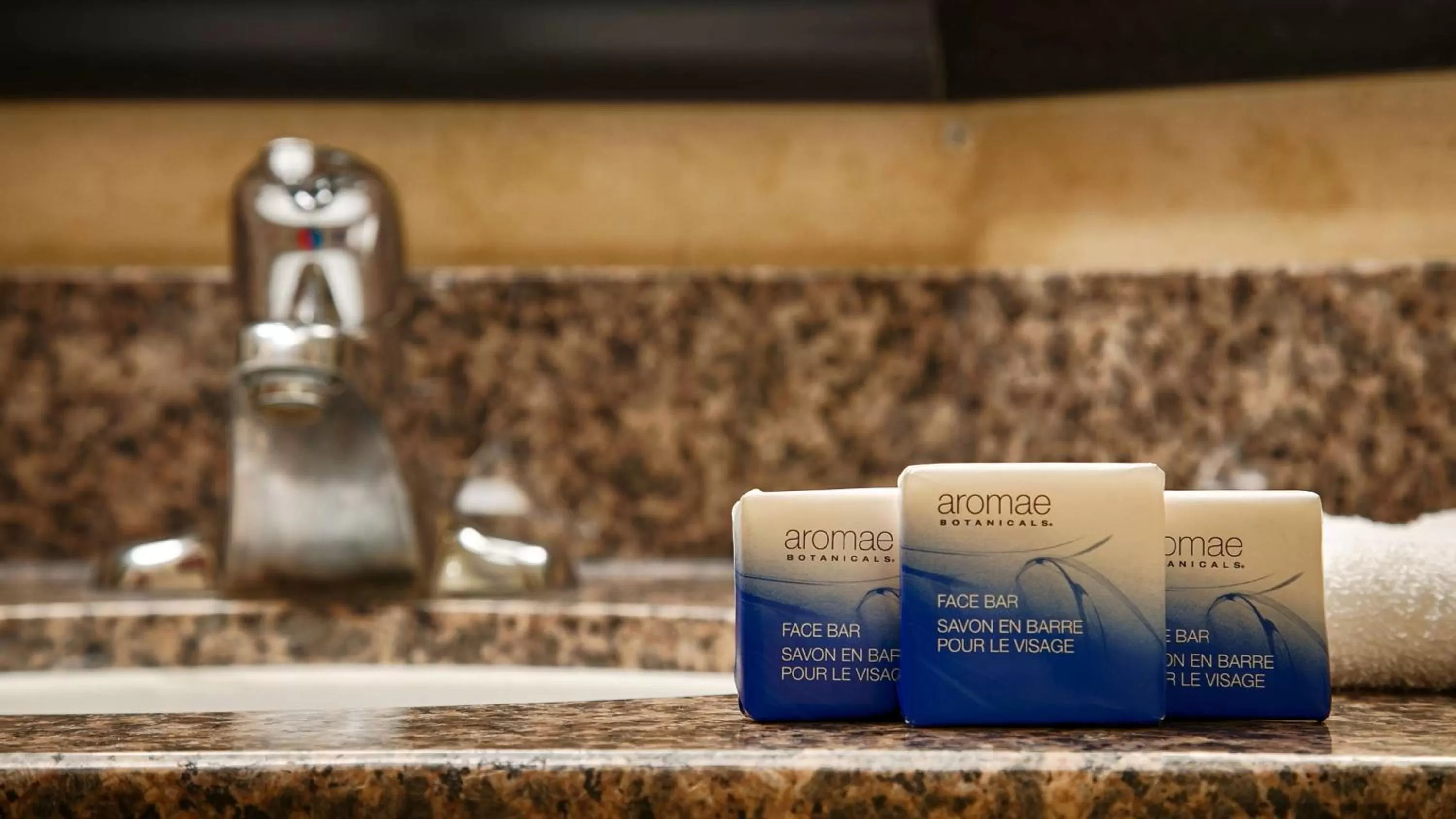 King Suite with Roll-In Shower - Disability Access in Best Western Bar Harbour Inn