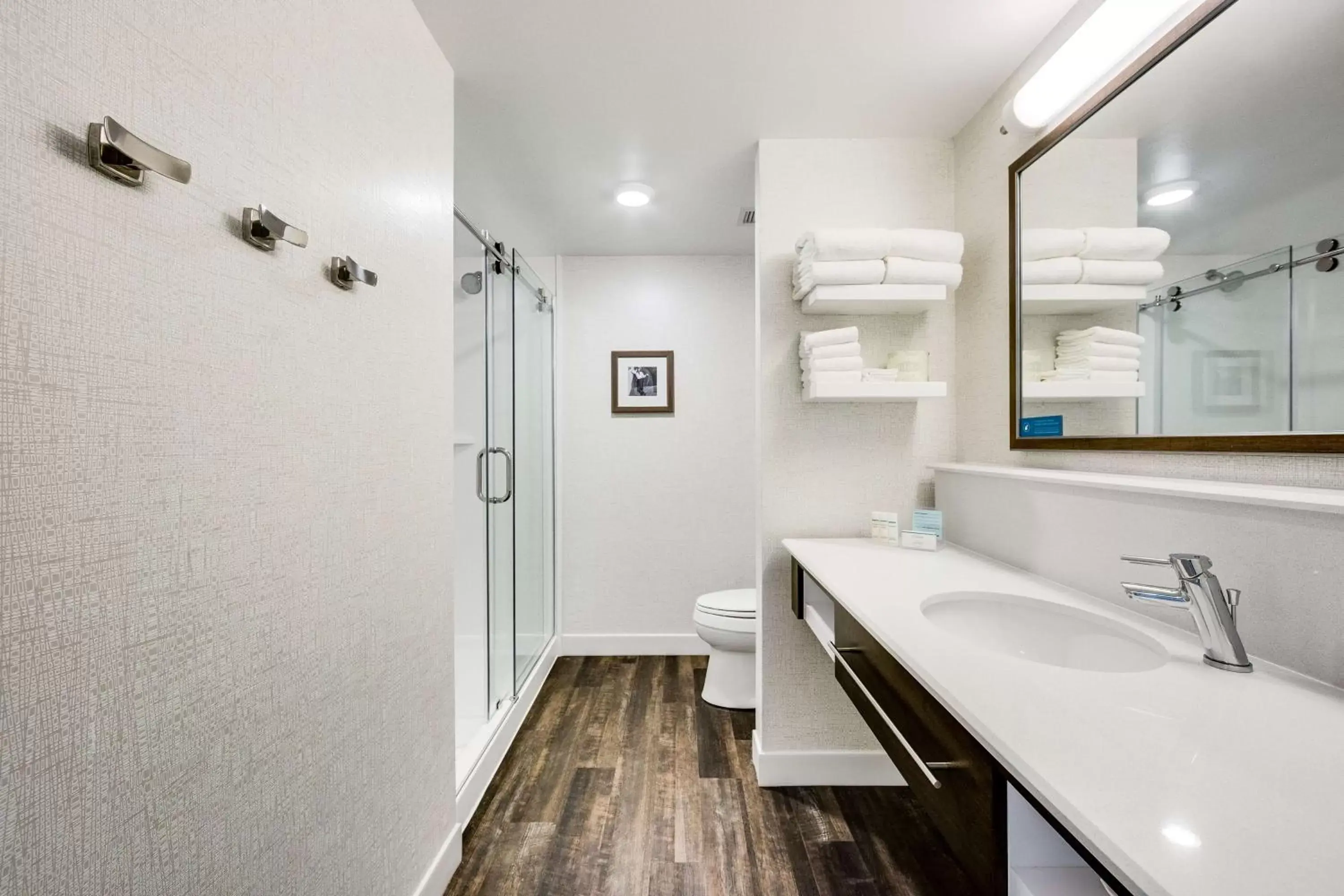 Bathroom in Hampton Inn & Suites Fort Worth Downtown
