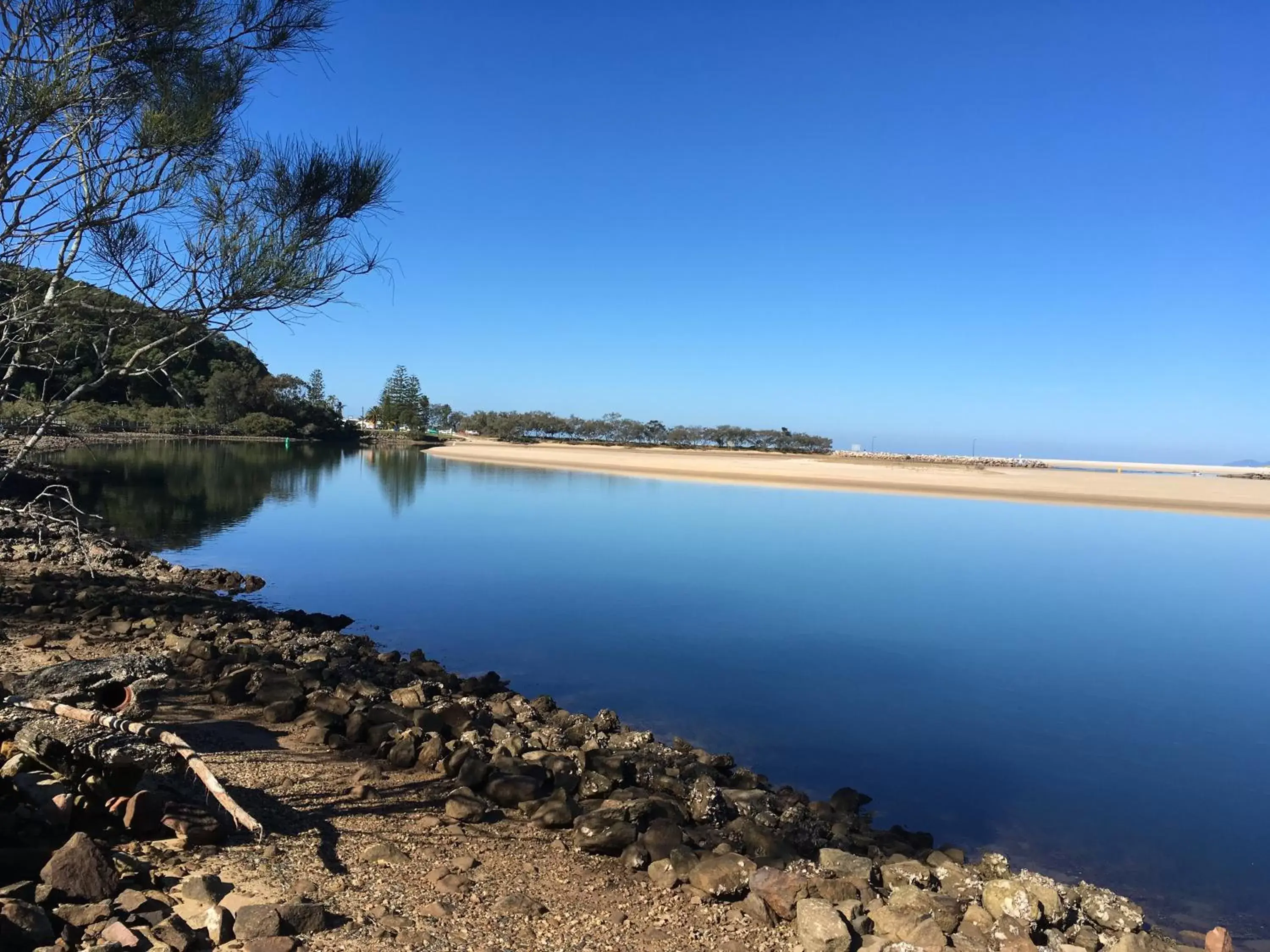 Natural landscape in Riverside Rest Nambucca Heads