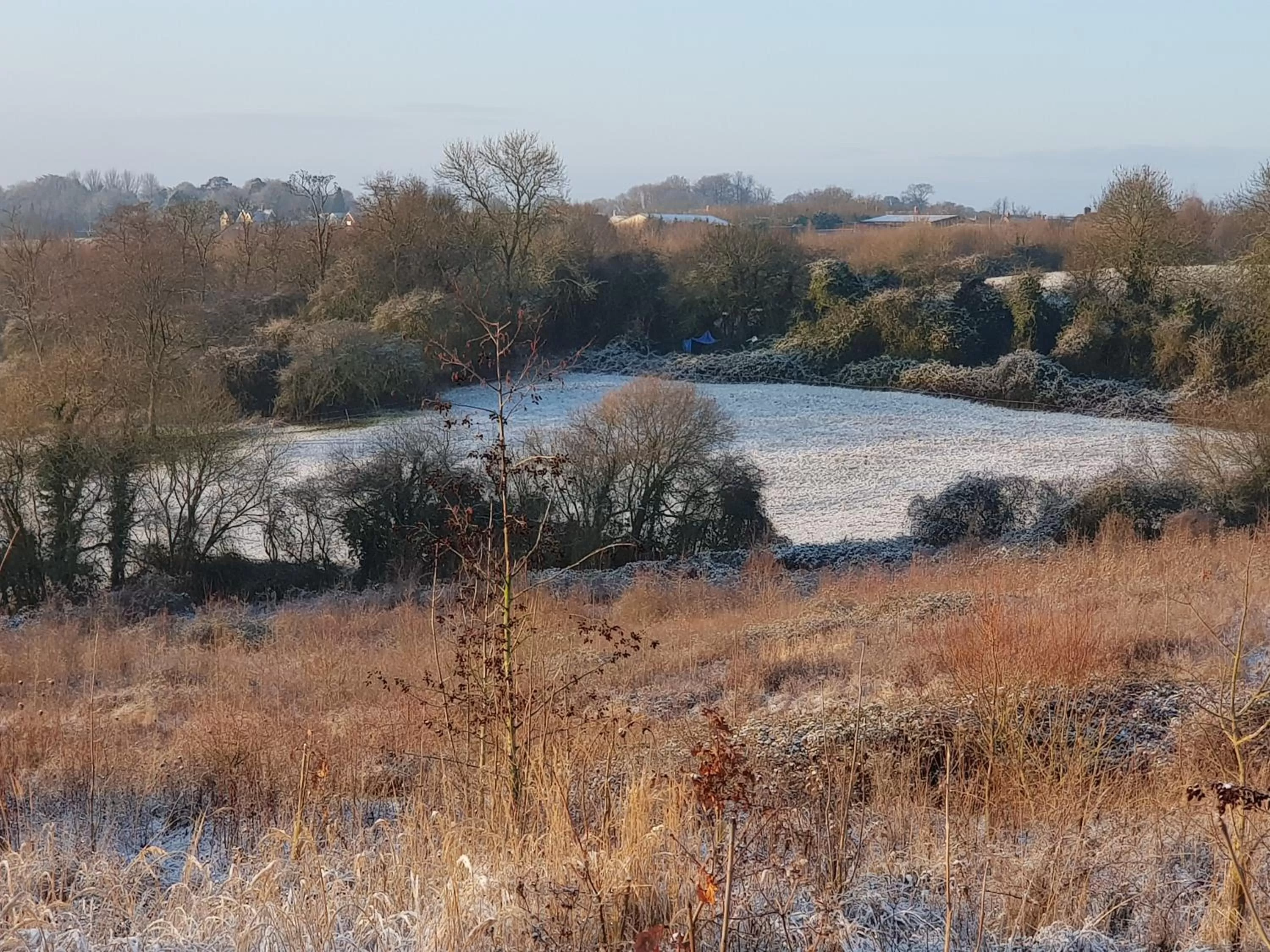 Activities in Wisteria Haze