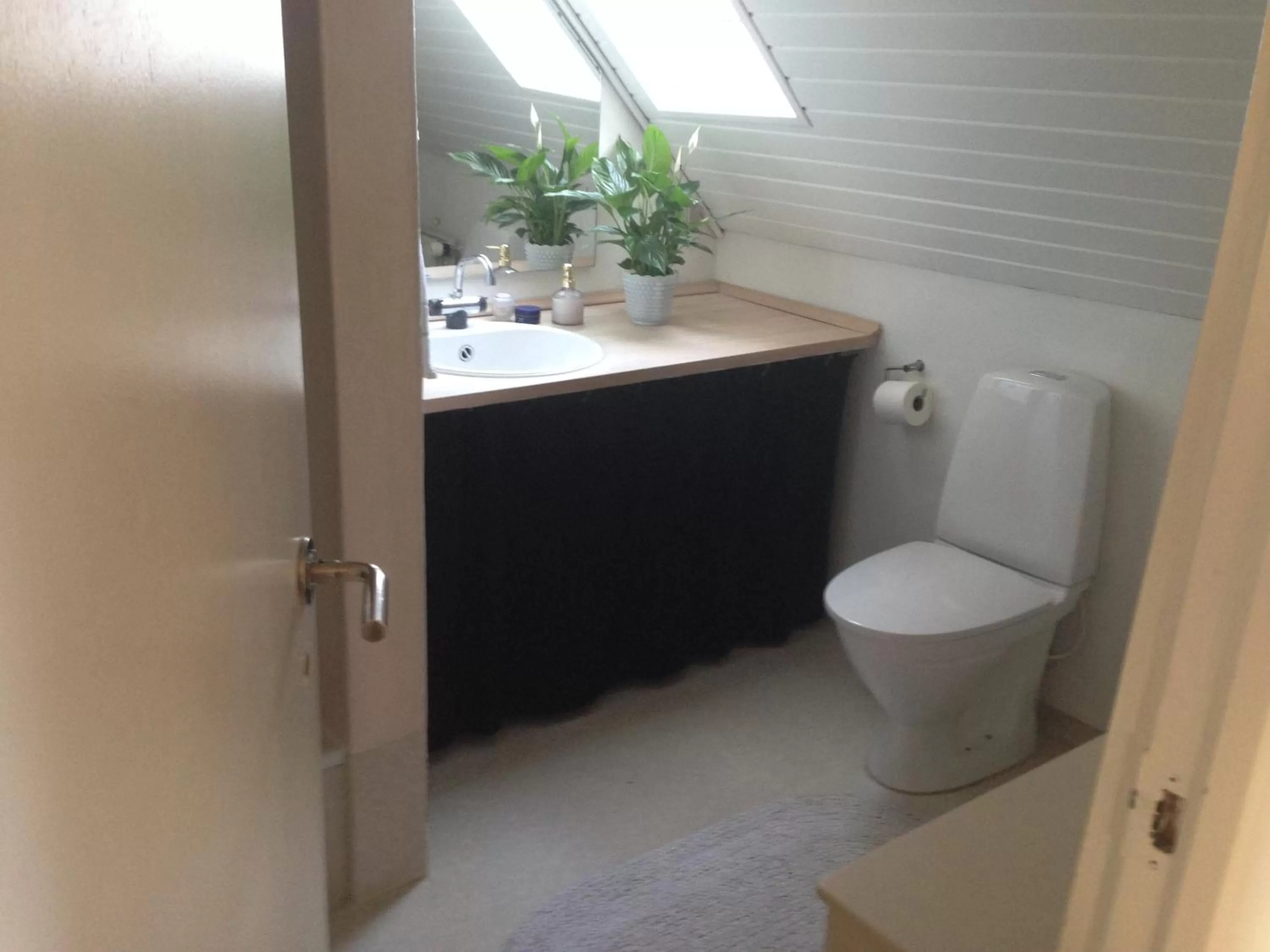 Toilet in Struckshus