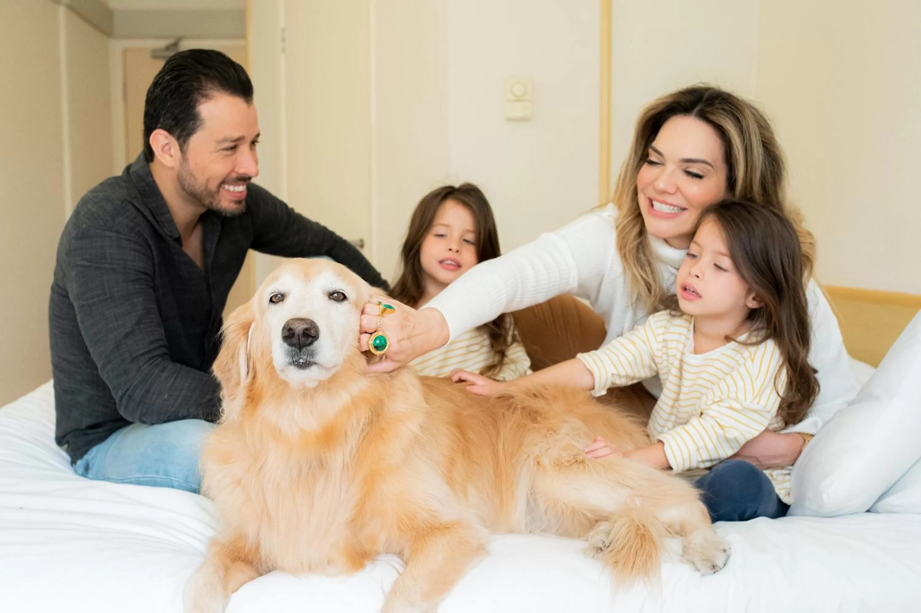 Property building in ibis Taubate