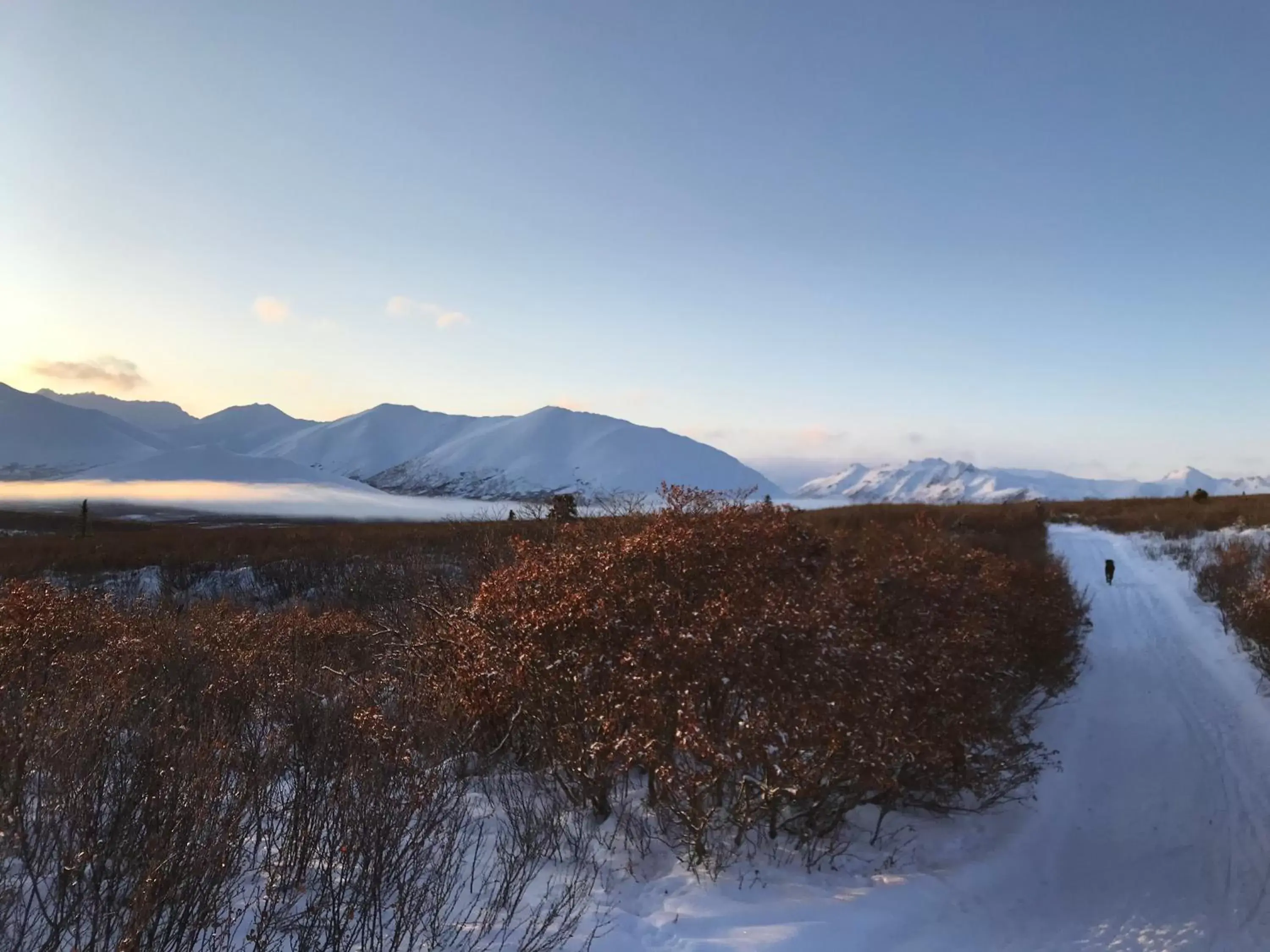 Natural landscape, Winter in Dawson Lodge