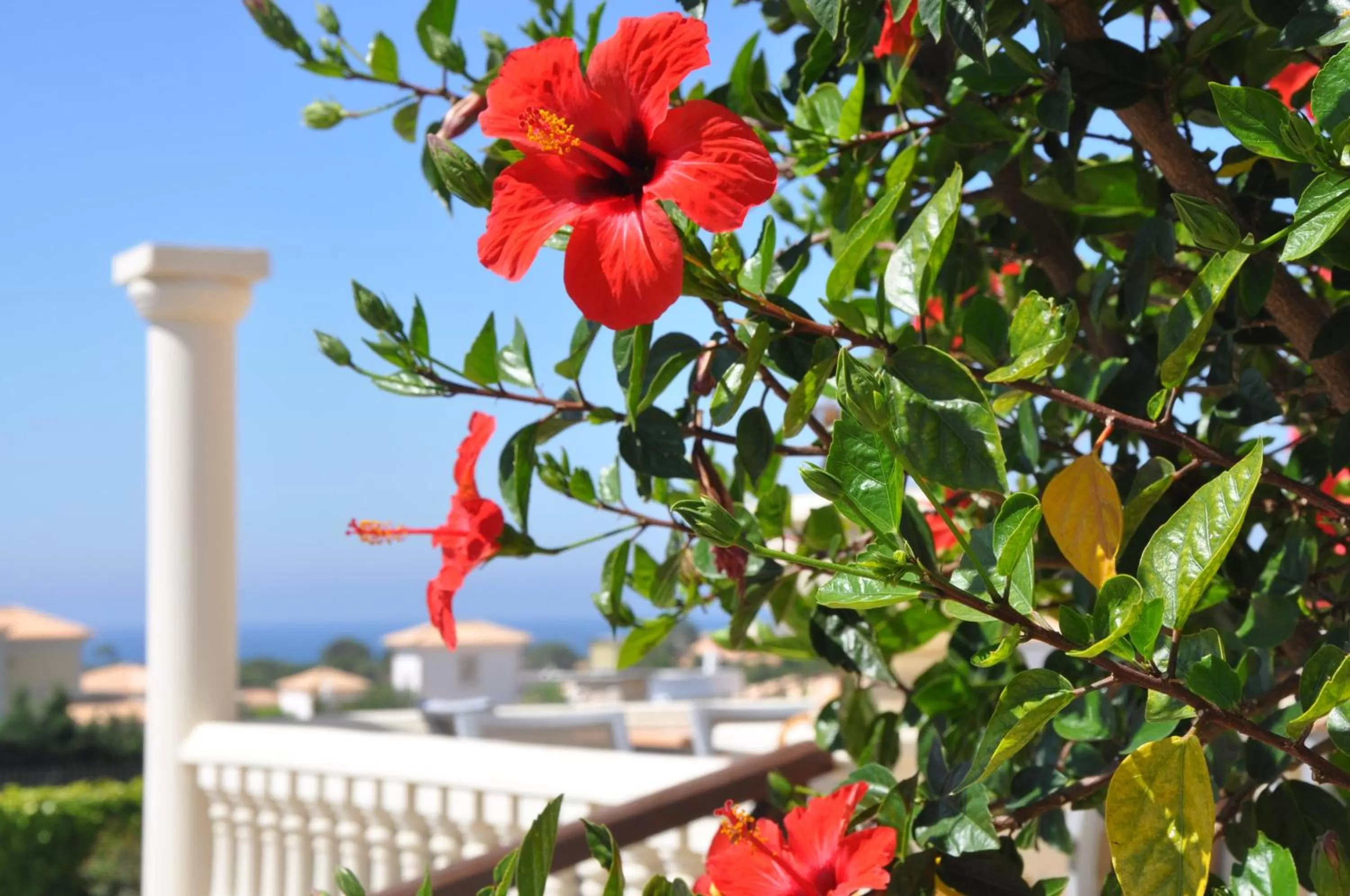 Ponta Grande Sao Rafael Resort by Umbral