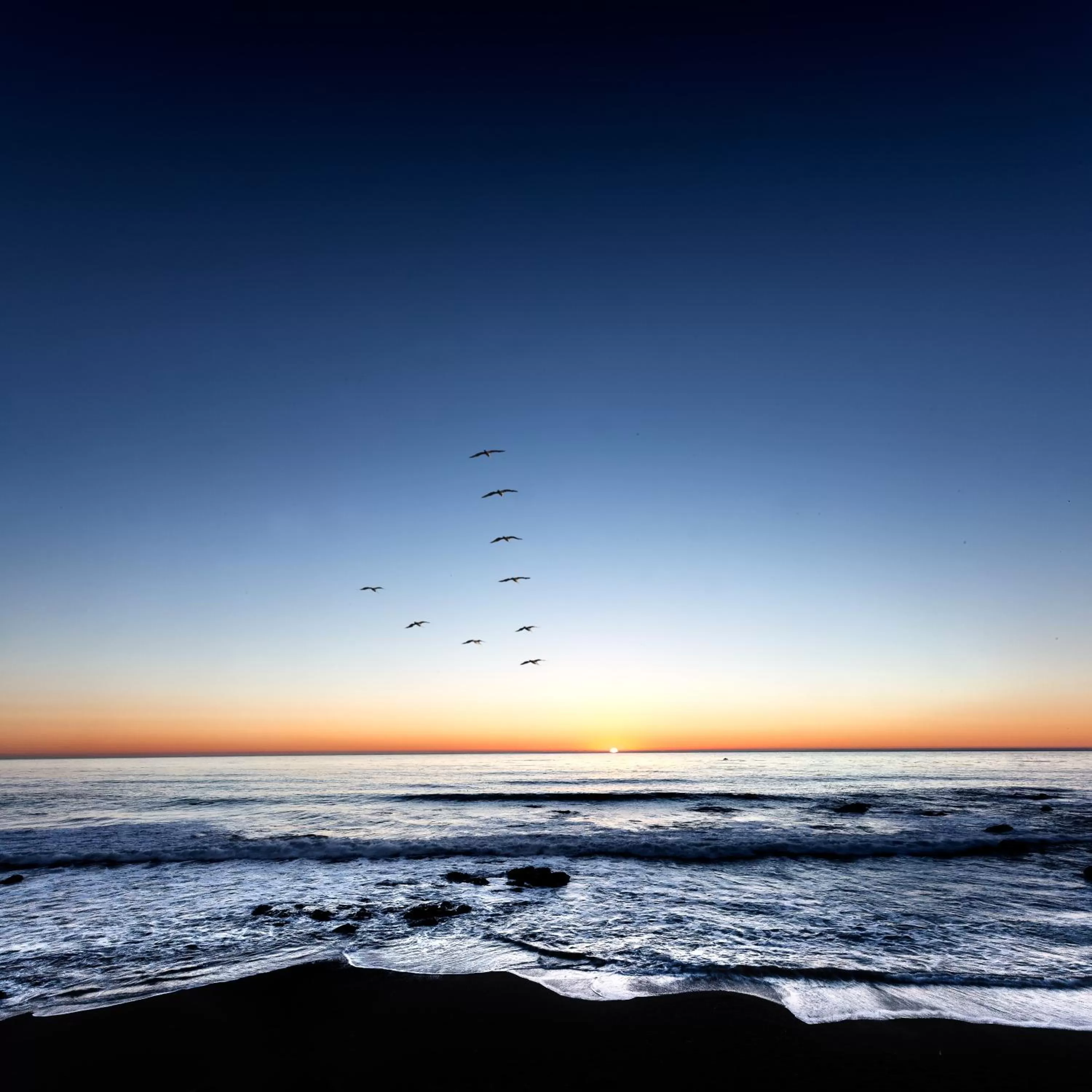 Area and facilities in Sand Pebbles Inn