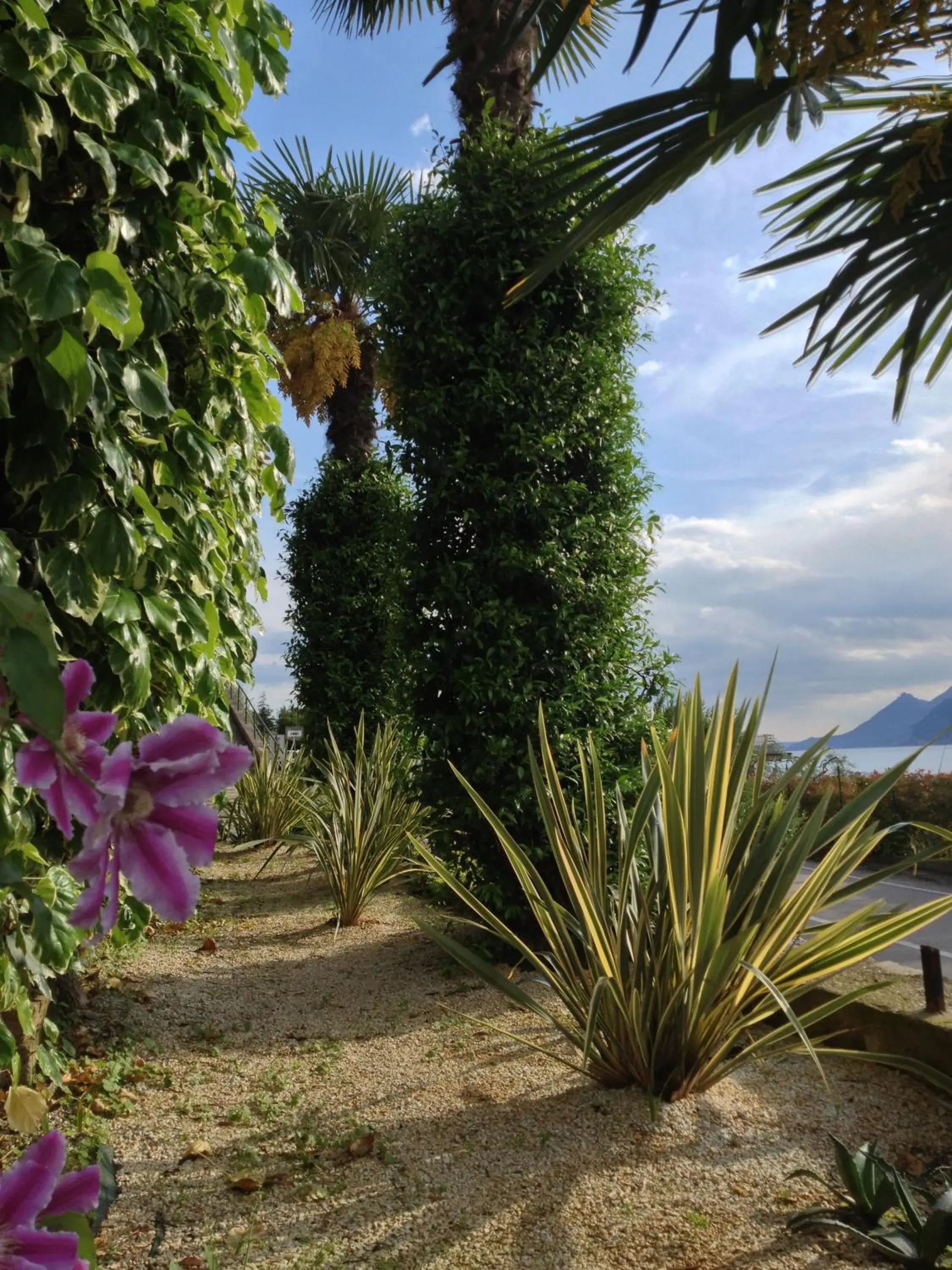 Natural landscape, Garden in Albergo Villa Edera