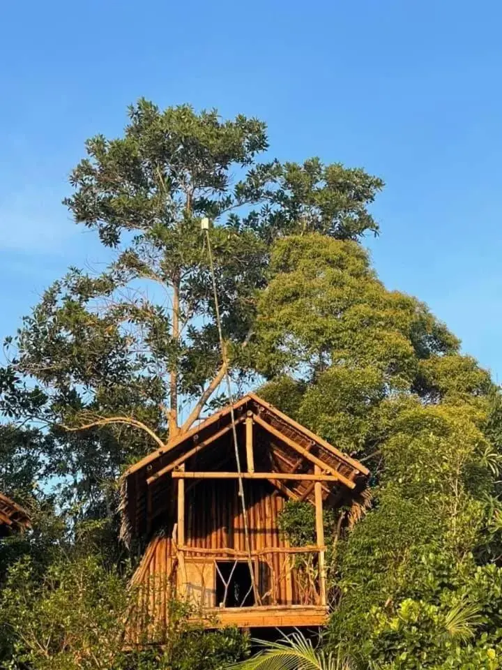 Property Building in Sanctuaria Treehouses Busuanga