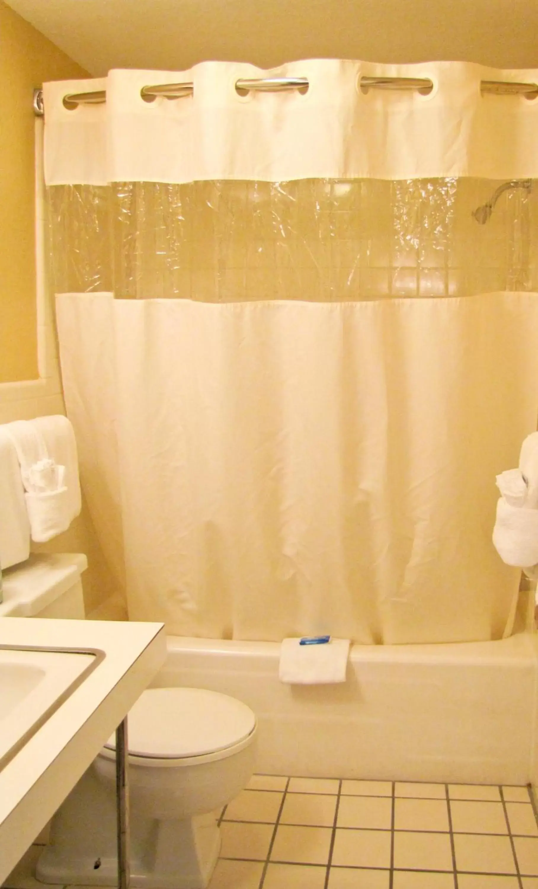 Bathroom in River Terrace Resort & Convention Center