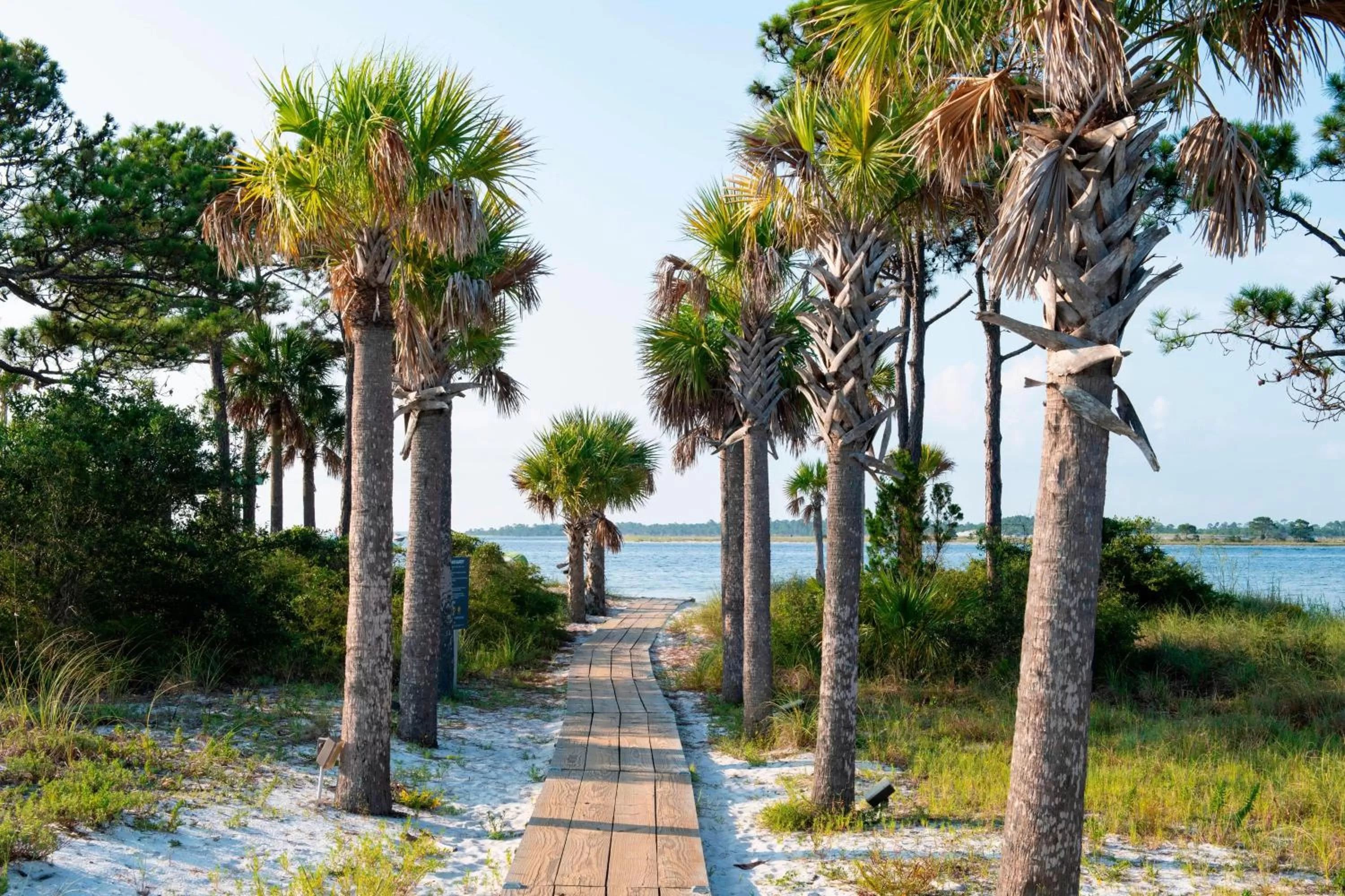 Beach in Bluegreen's Bayside Resort and Spa