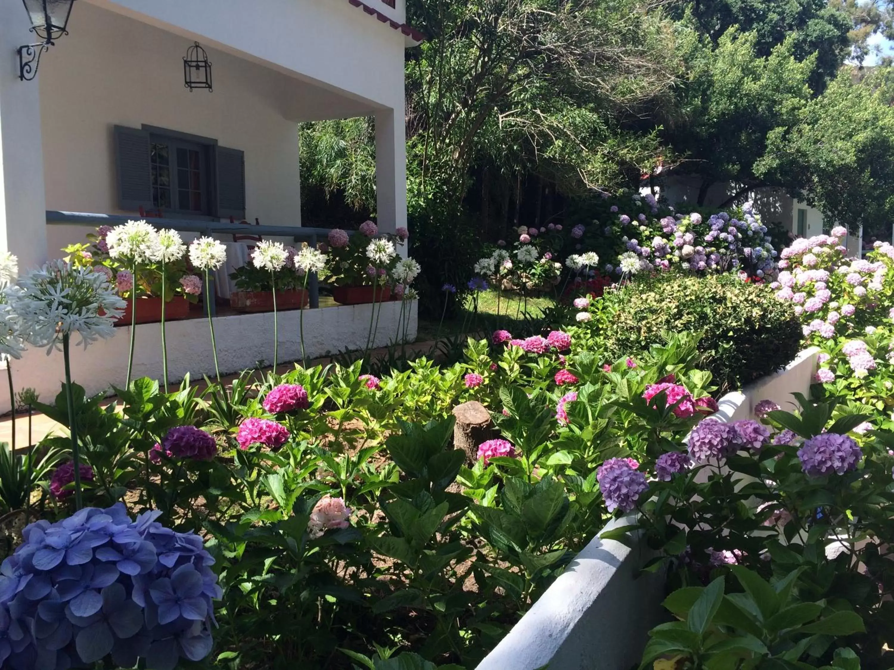 Swimming pool, Garden in Mesón de Sancho