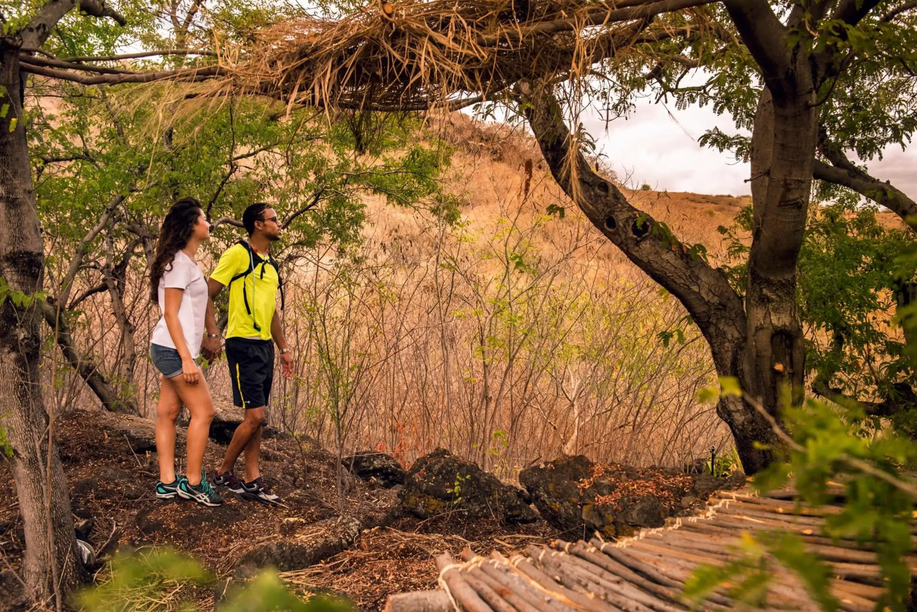 Hiking in Tama Hotel