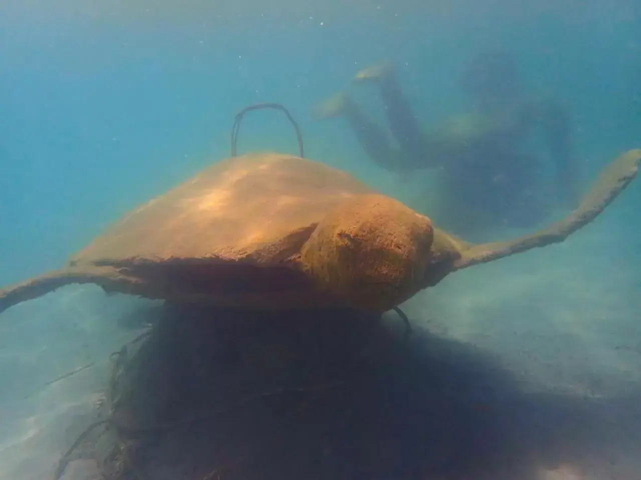 Property building in Hotel Punta Leona Property building in Hotel Punta Leona