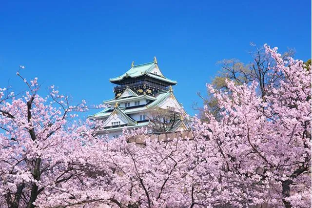 Spring in Eins.Inn Umeda Higashi