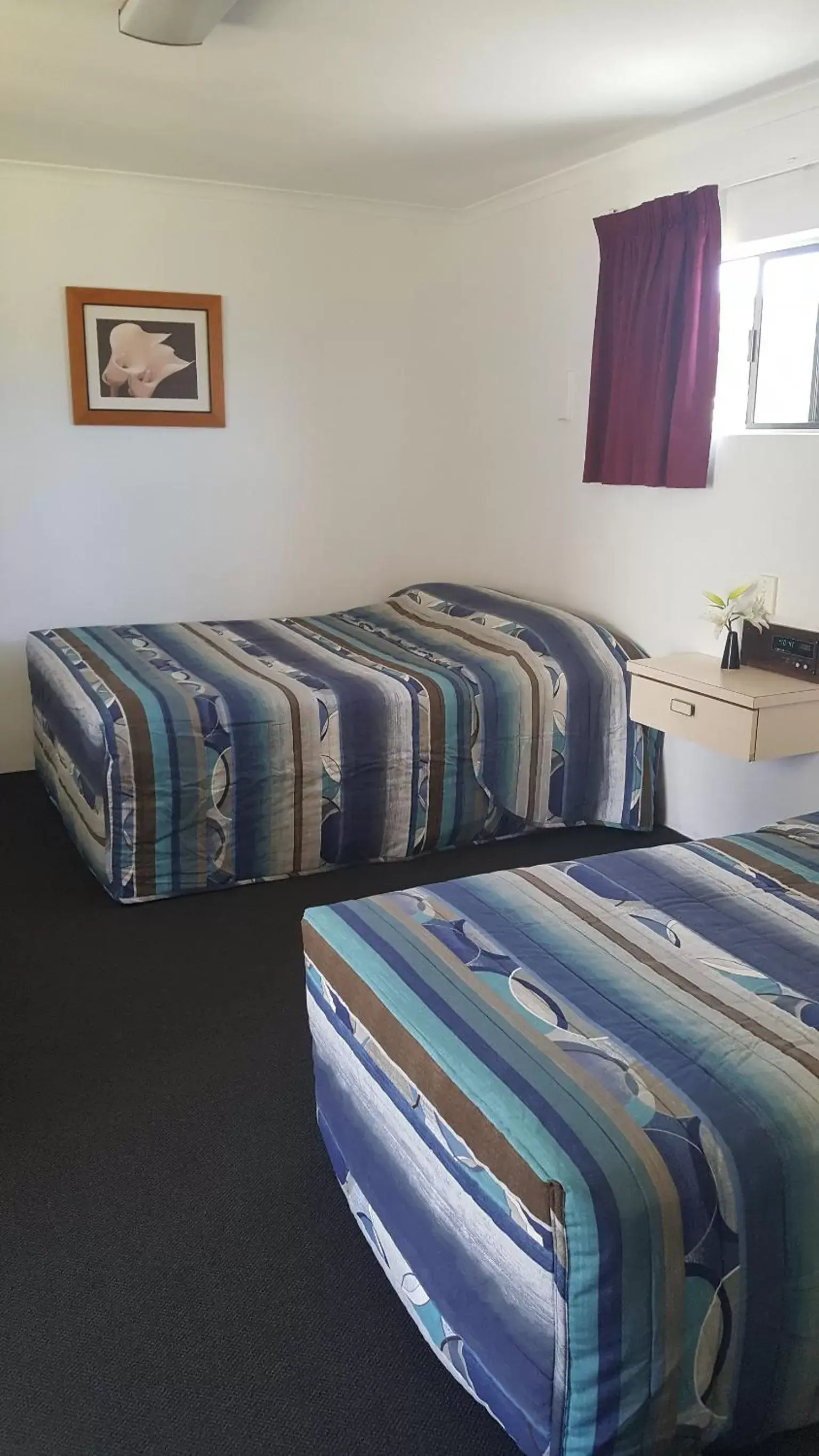 Bed, Room Photo in Siesta Villa Motel