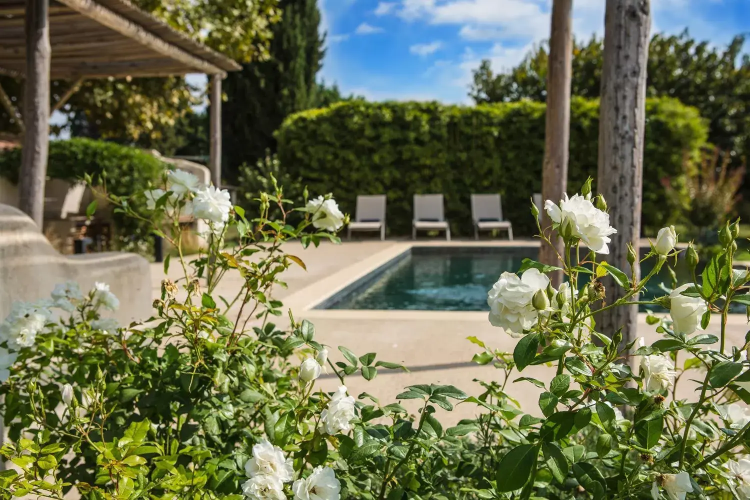 Swimming Pool in Sous les Platanes B&B