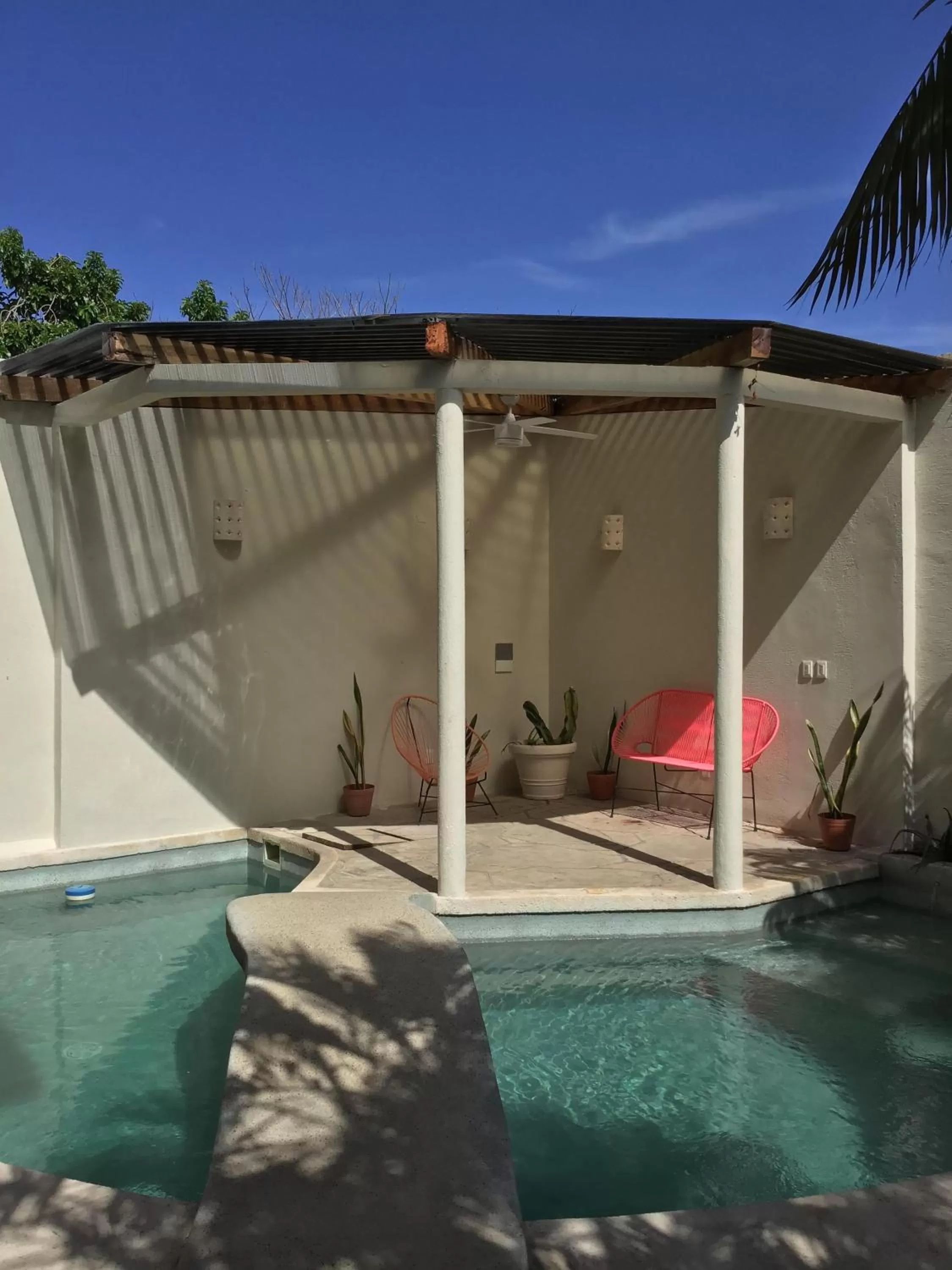 Pool view, Swimming Pool in Bed and Breakfast Pecarí
