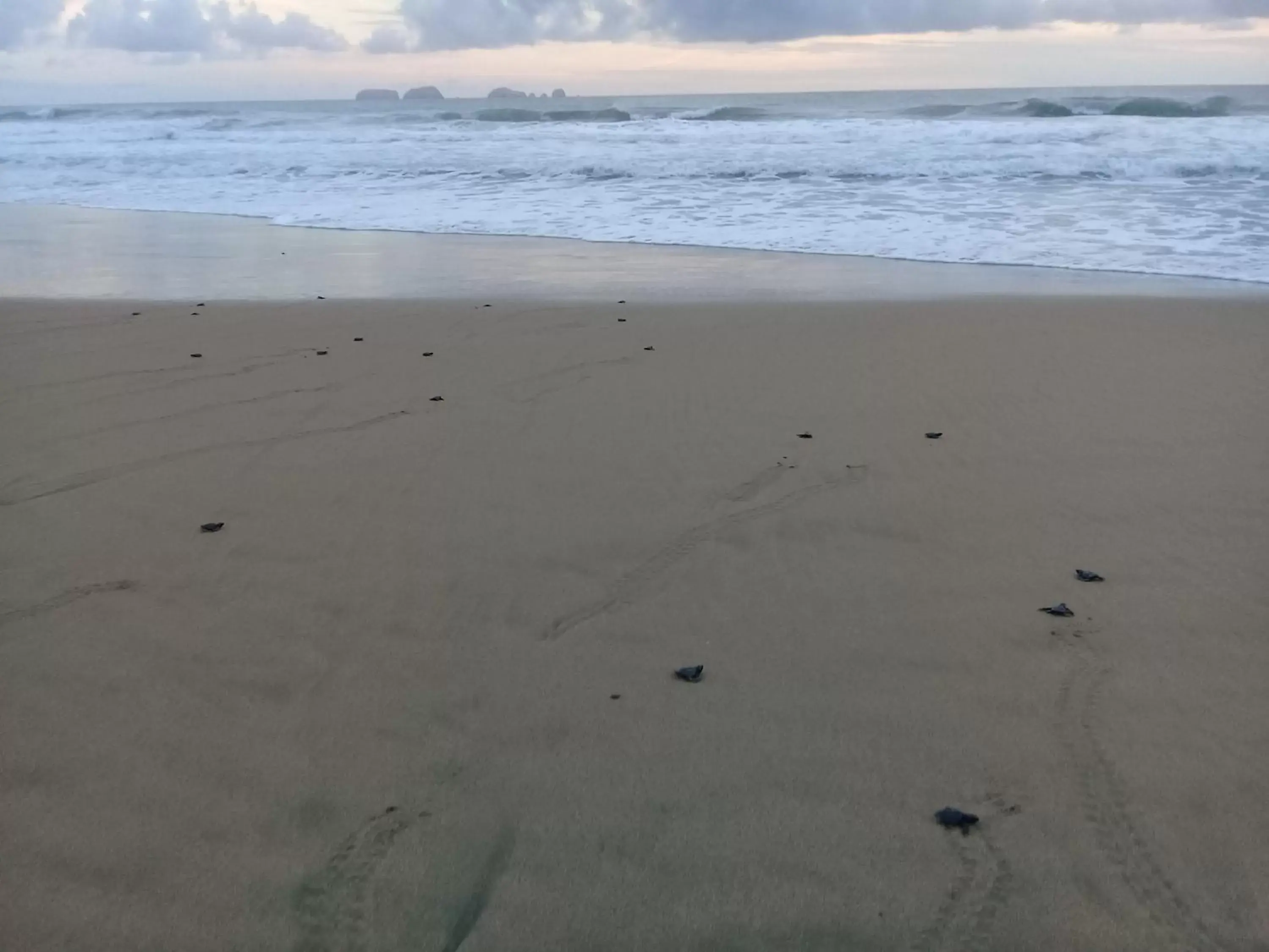 Beach in Hotel Villas Punta Blanca