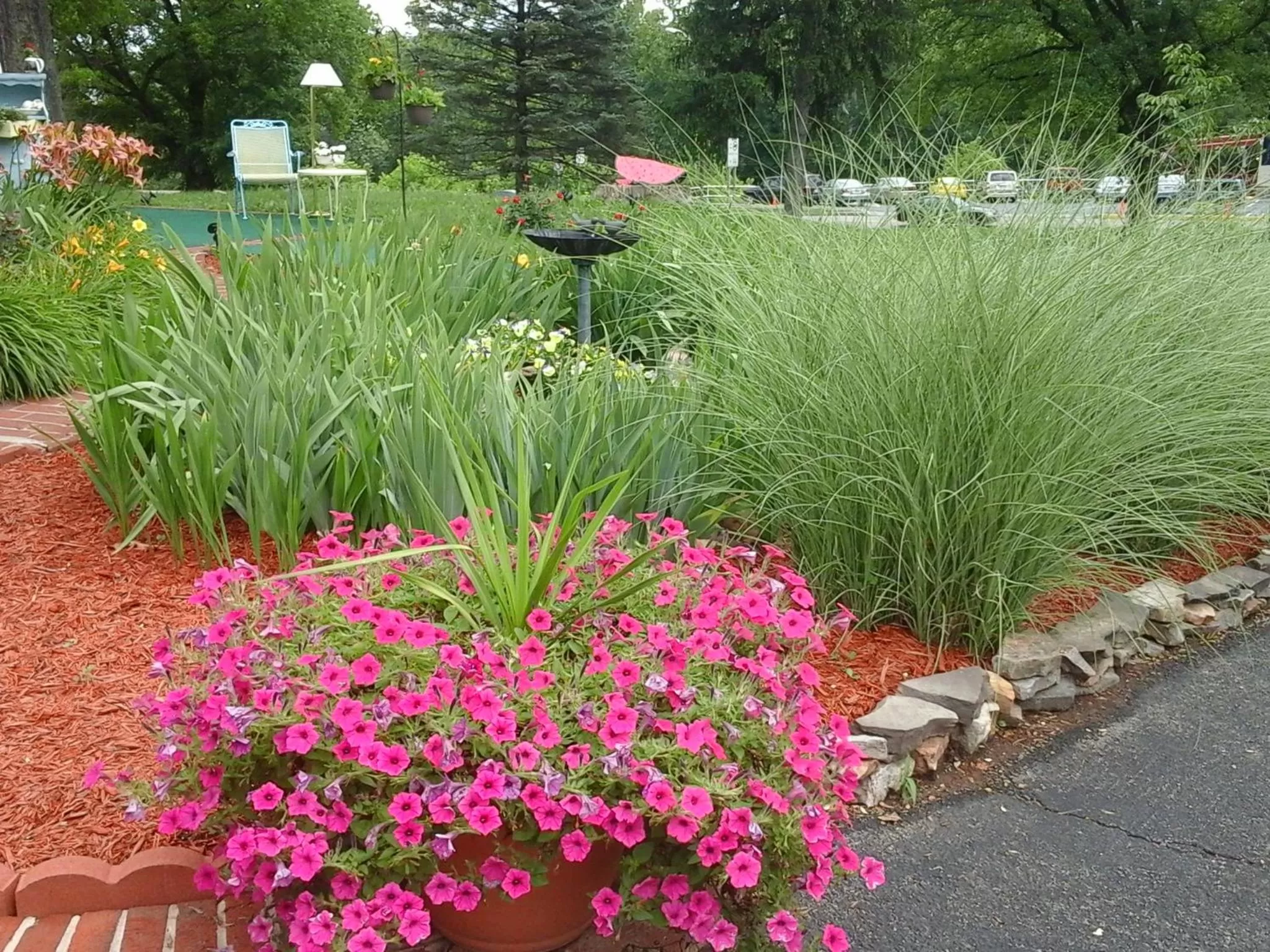 Natural landscape, Garden in Hancock Motel