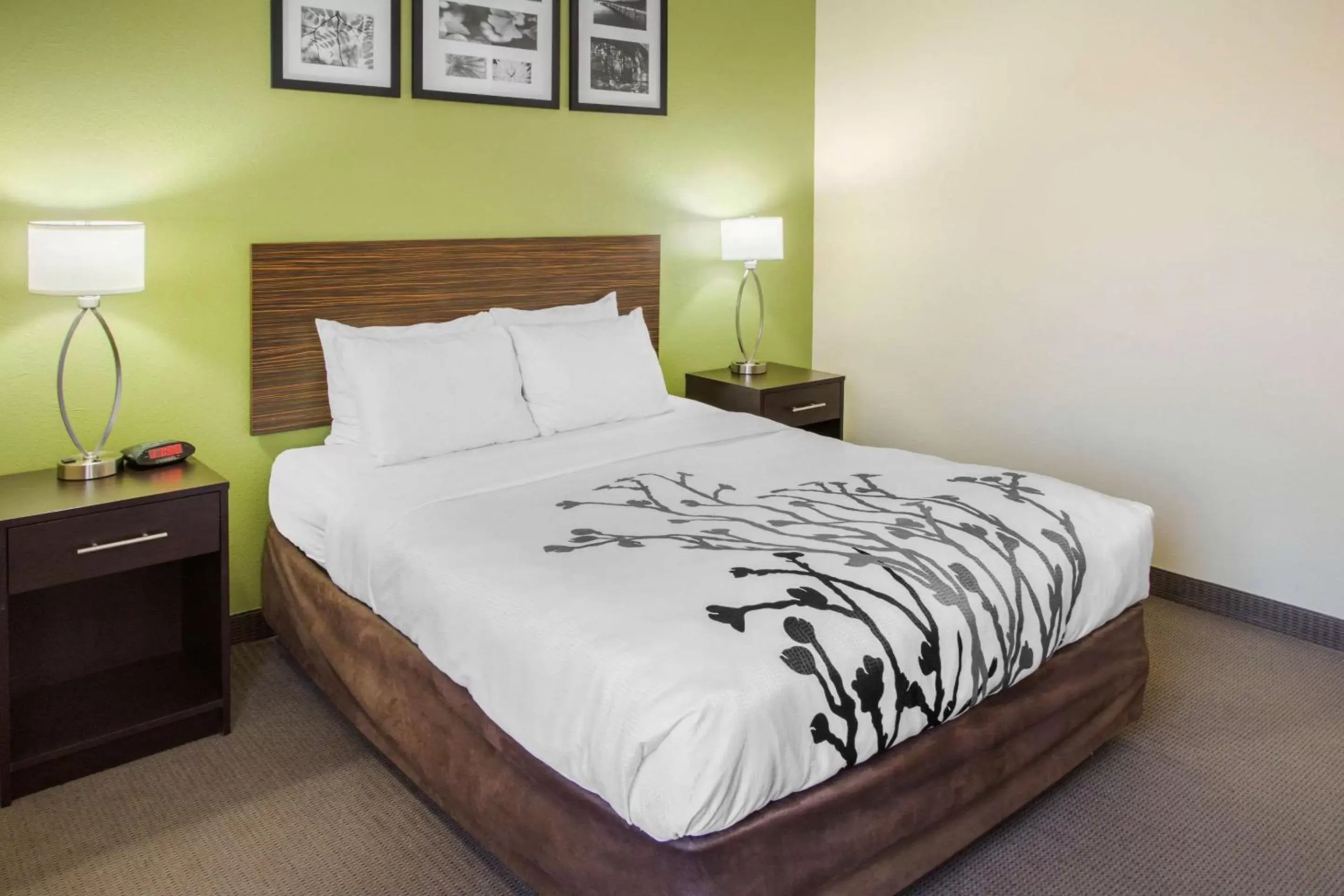 Bedroom, Bed in Sleep Inn & Suites Bakersfield North
