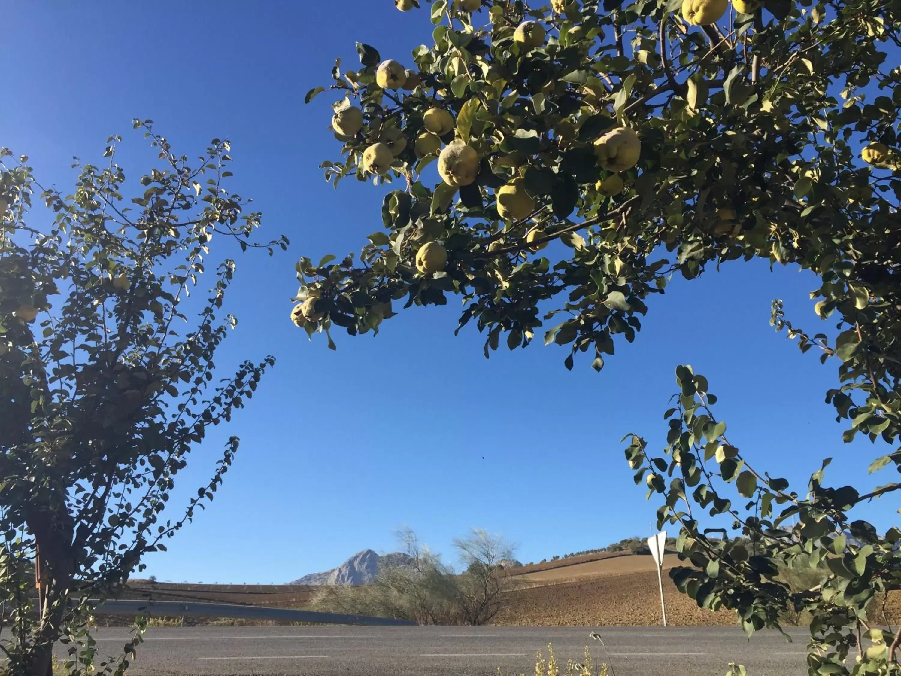 Natural Landscape in Hotel Arco del Sol