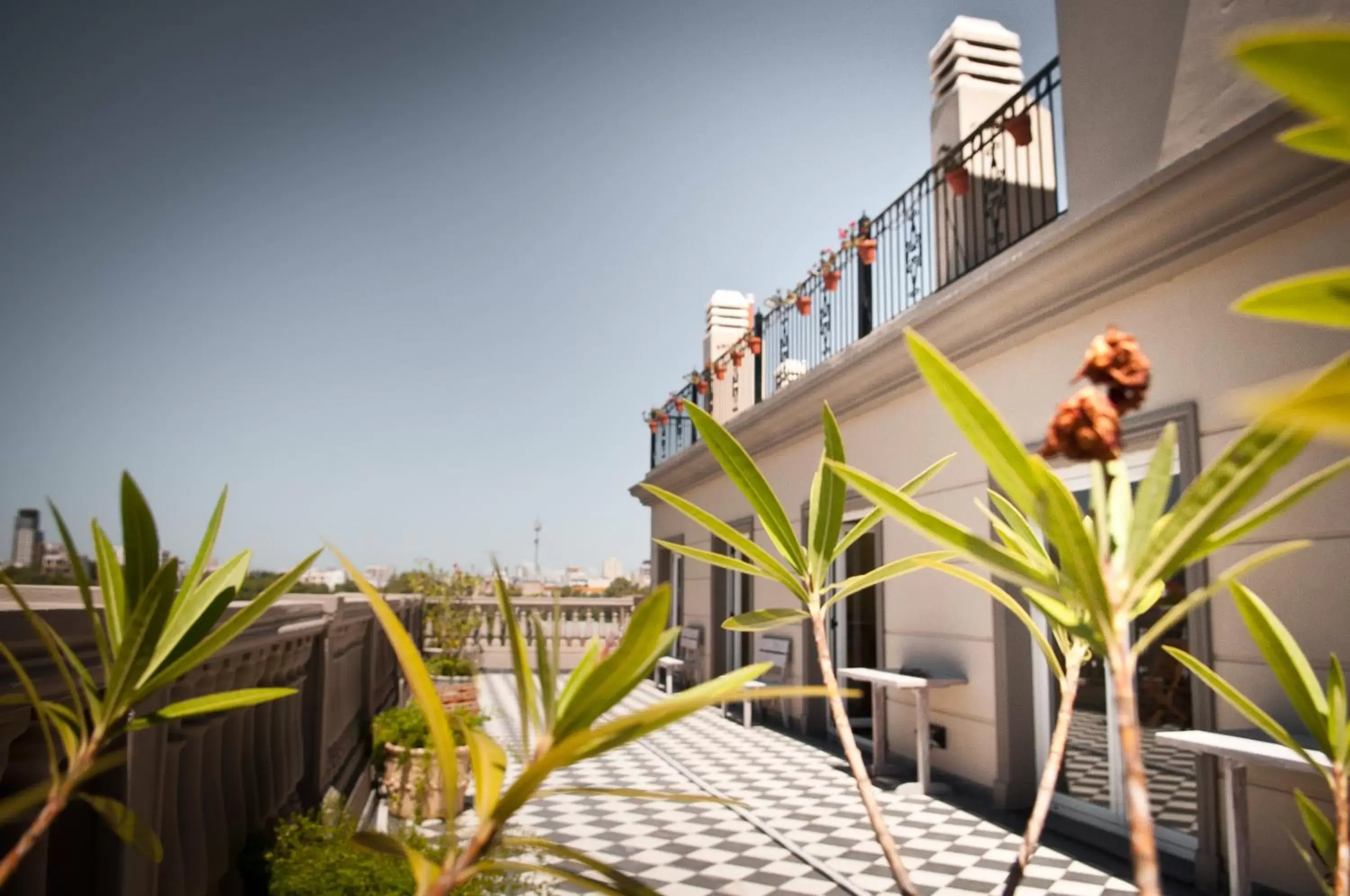 Balcony/Terrace in Hotel Clasico