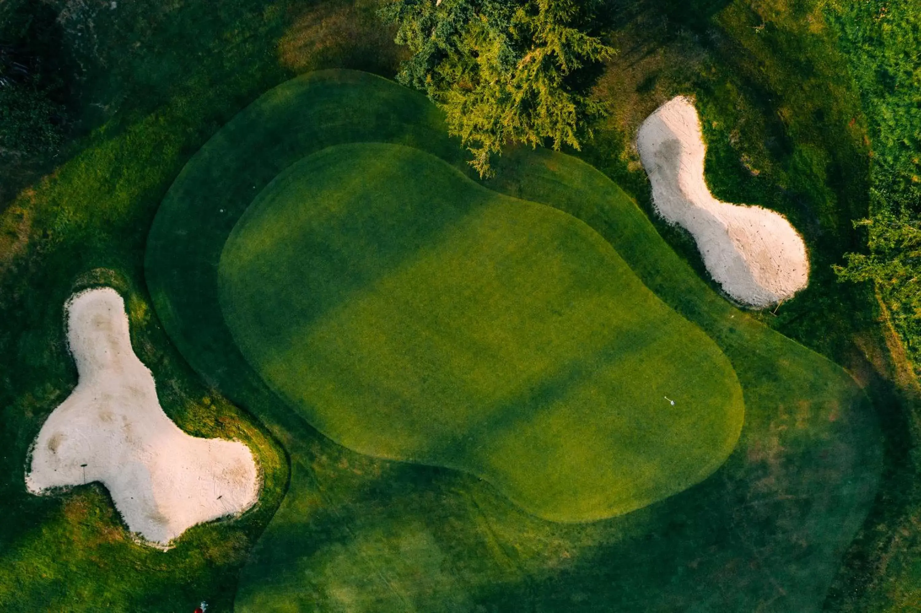 Golfcourse, Bird's-eye View in Resort at Port Ludlow