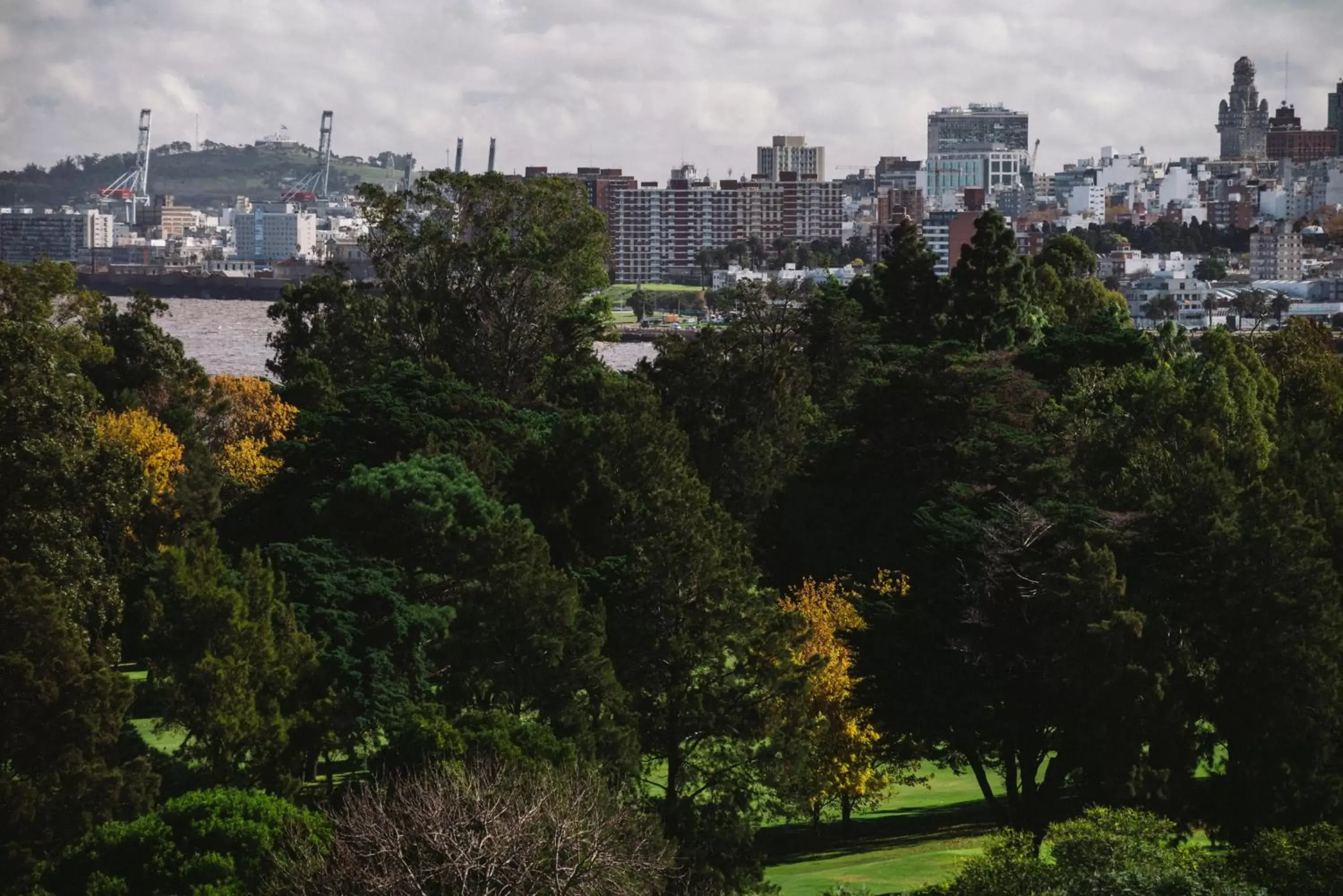 Garden view, Neighborhood in Own Montevideo