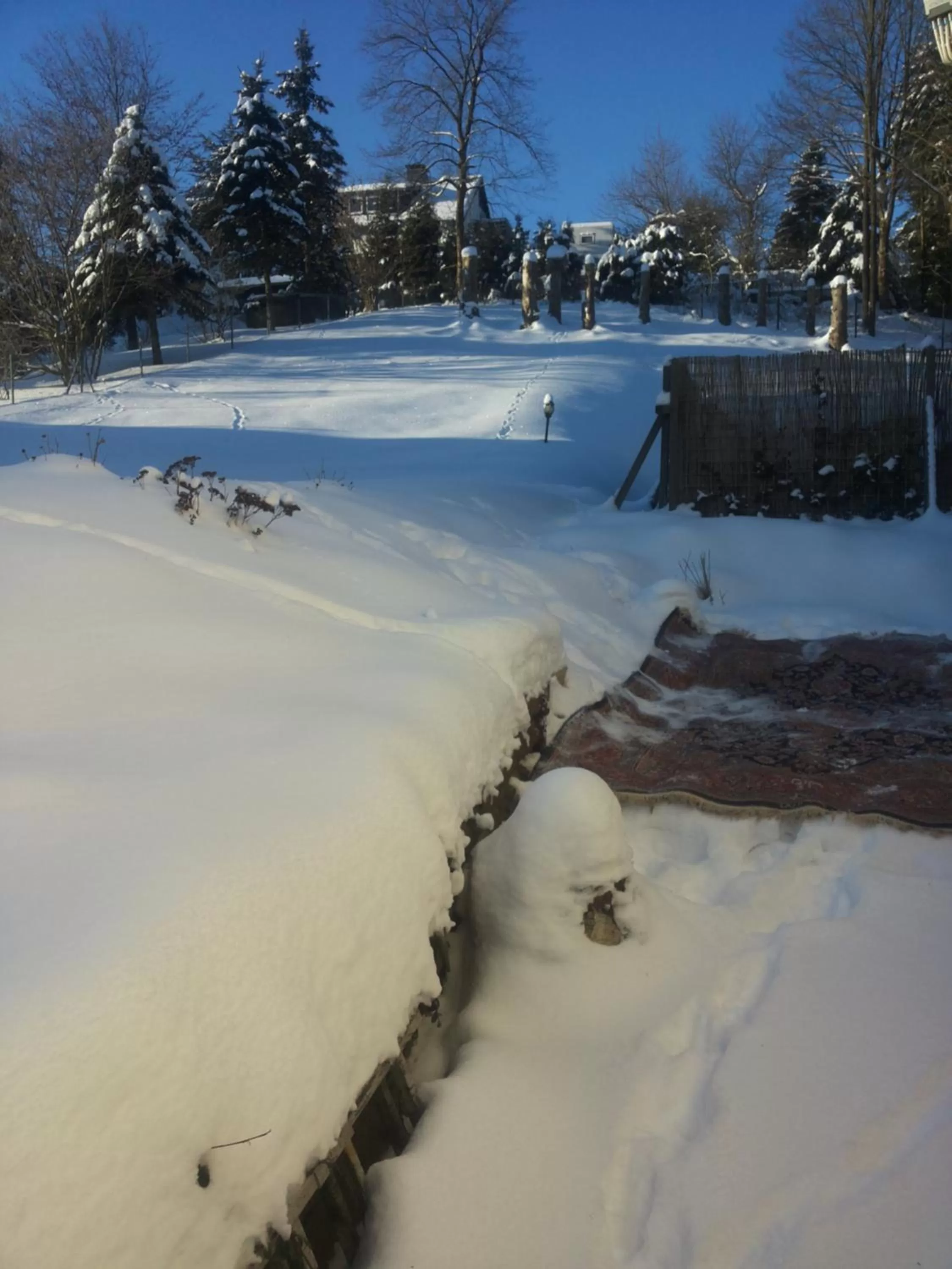 Garden, Winter in B&B Orchidee